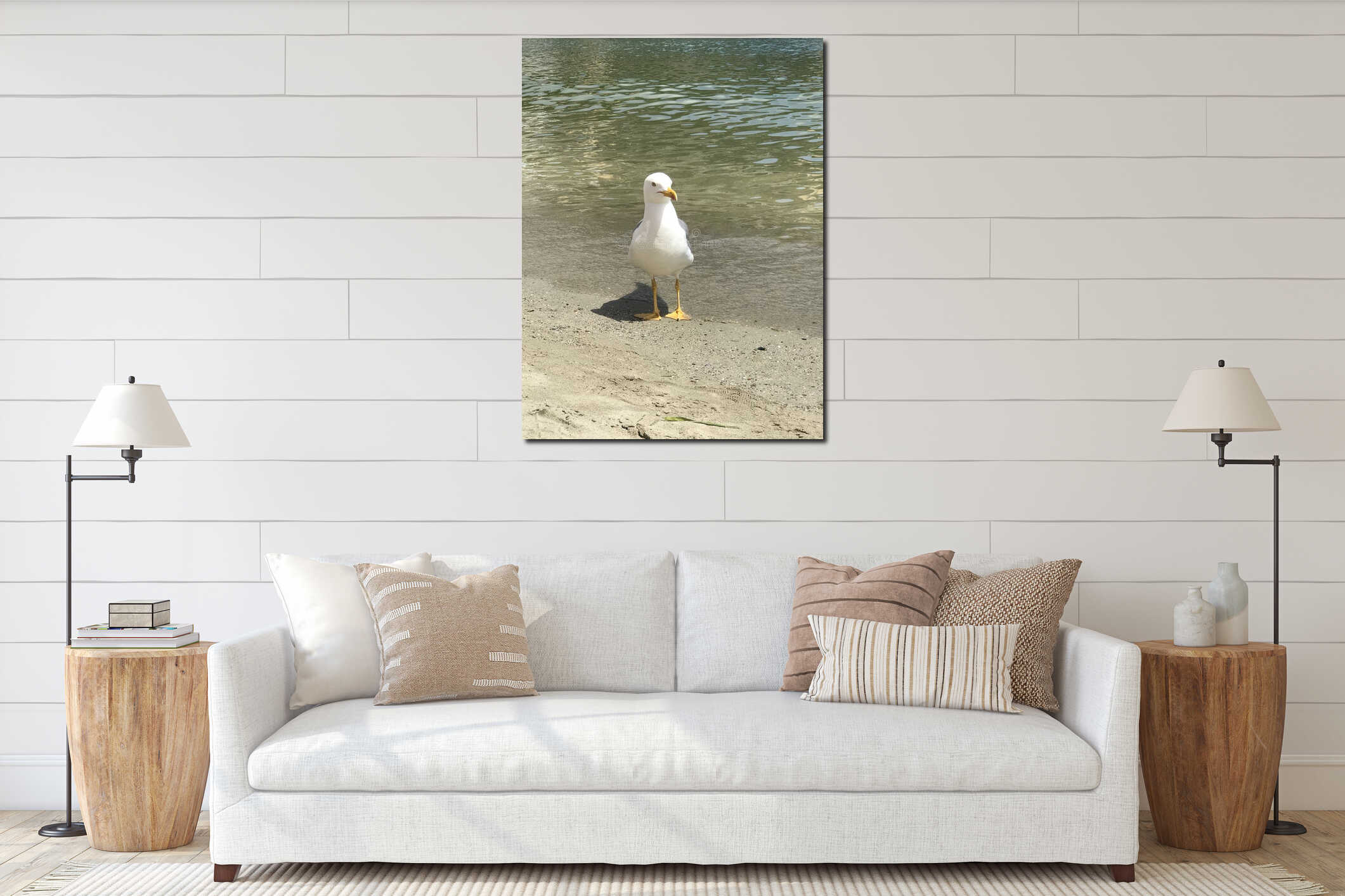 Seagull posing on the beach interior mockup
