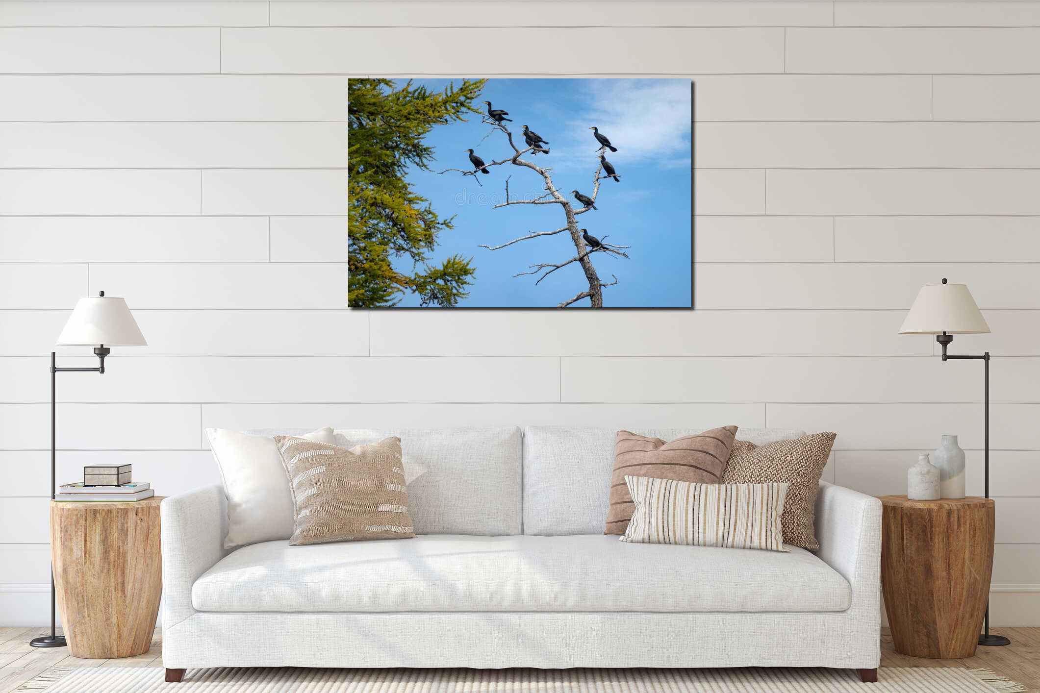 Herd of cormorants sitting on the tree branches on a sunny day, blue sky in the background. Flock of black birds on the dead, interior mockup