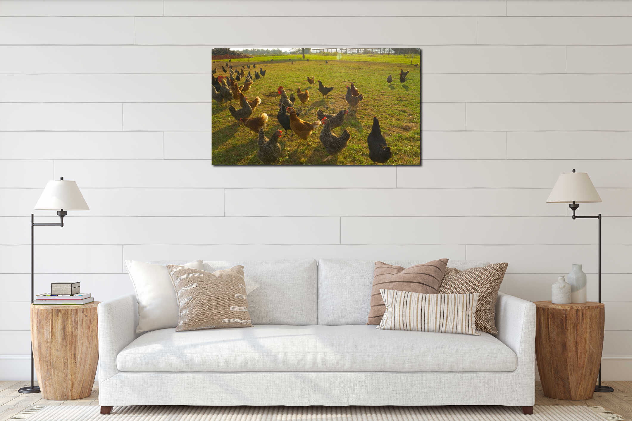 CLOSE UP, LENS FLARE: Flock of hens roaming freely around a humane poultry farm. interior mockup