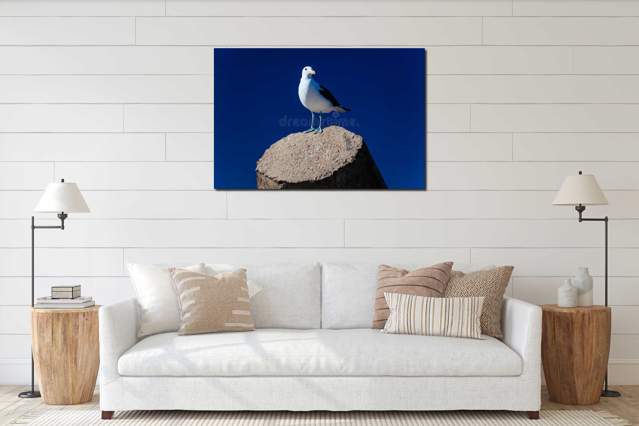 Seagull Perched Concrete Blue interior mockup