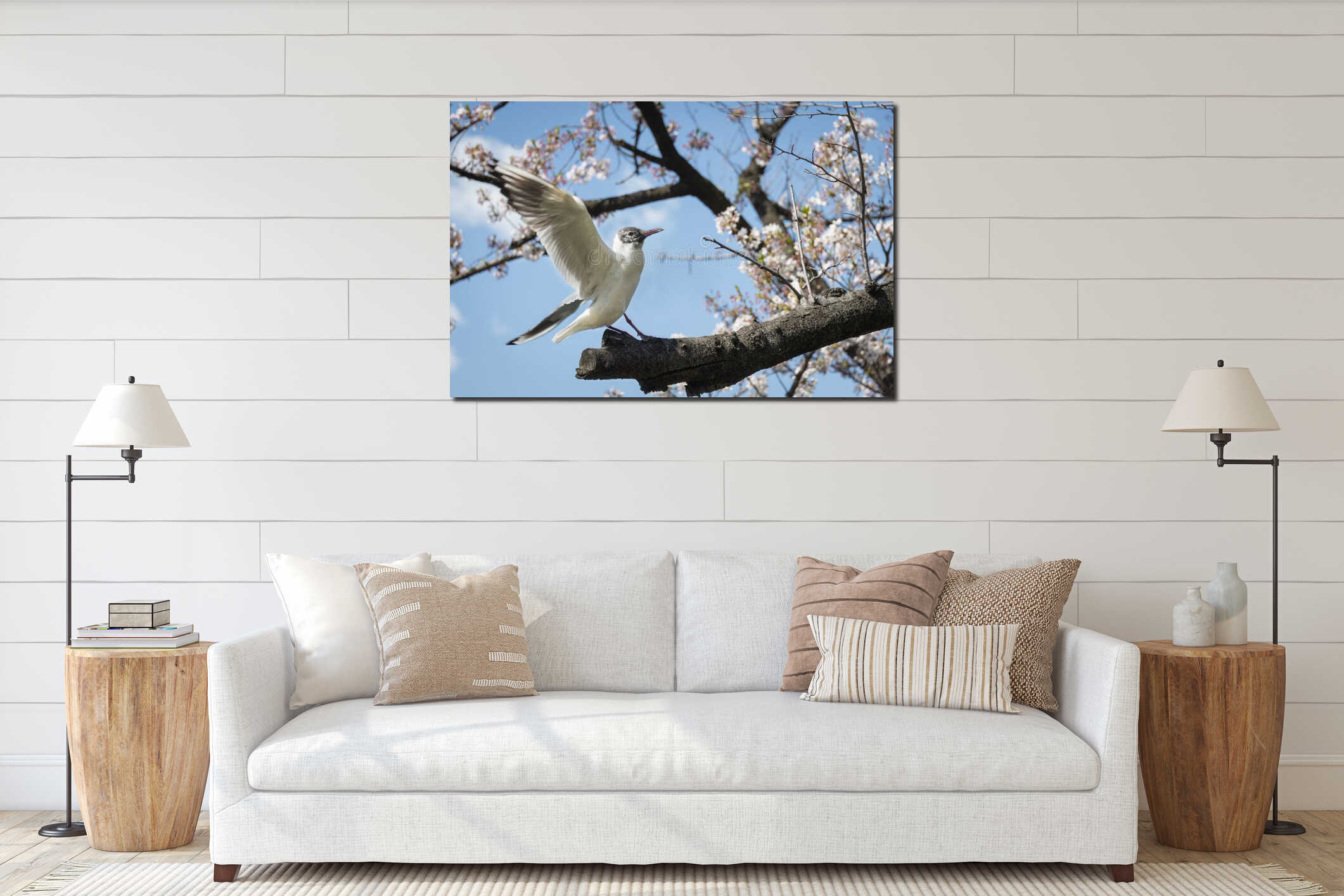 Bird perches on a cherry blossom tree, stretches its wings ready to fly. Tokyo, Japan interior mockup