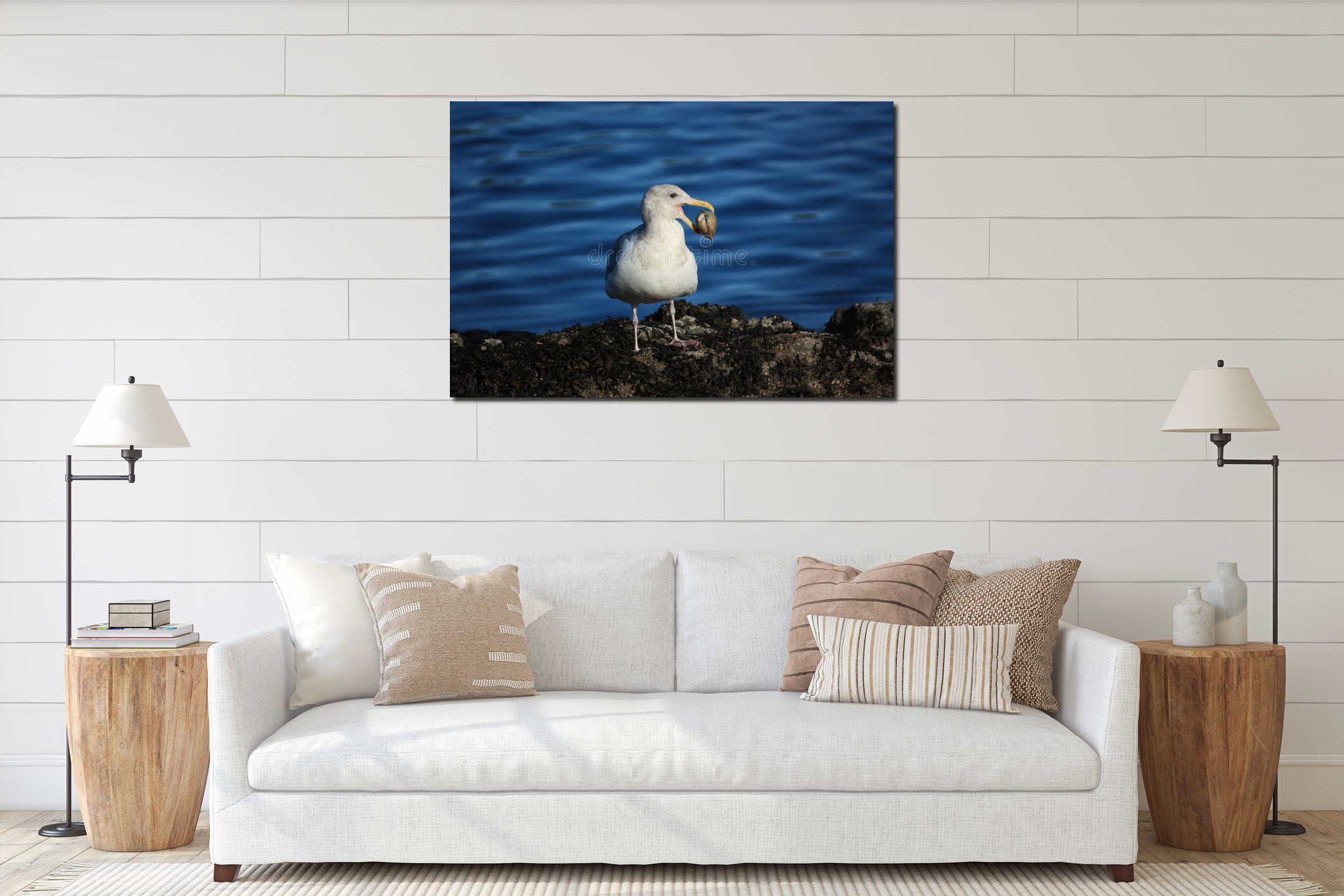 Gull or seagull on rocks by ocean with a clam in its mouth interior mockup