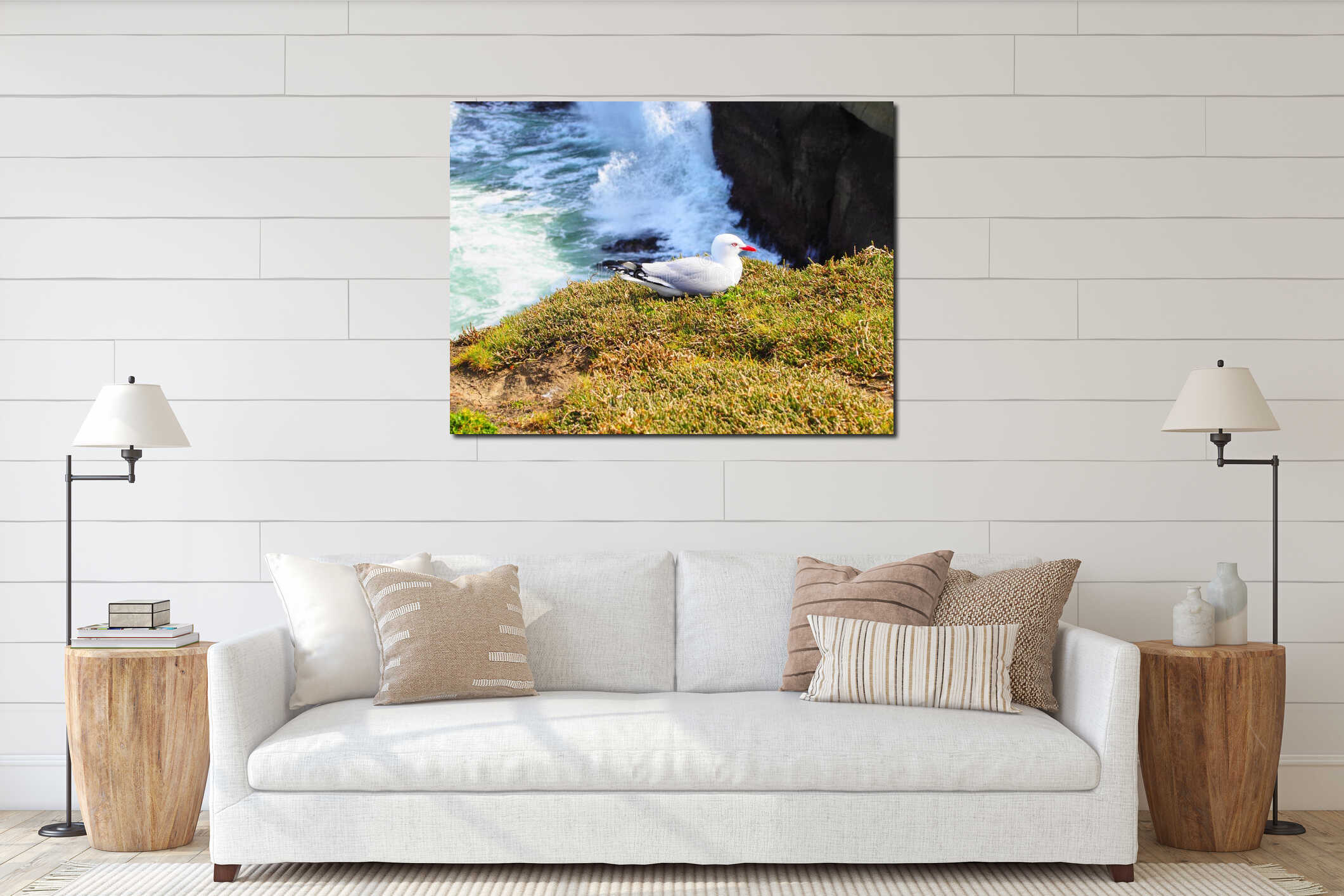 Seagull resting on the edge of a cliff at Taiaroa Head in Dunedin, New Zealand interior mockup