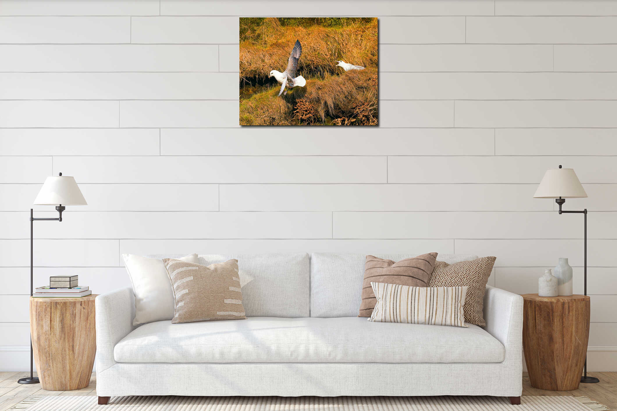 Seagull sitting in a nest. Another flight for fish interior mockup