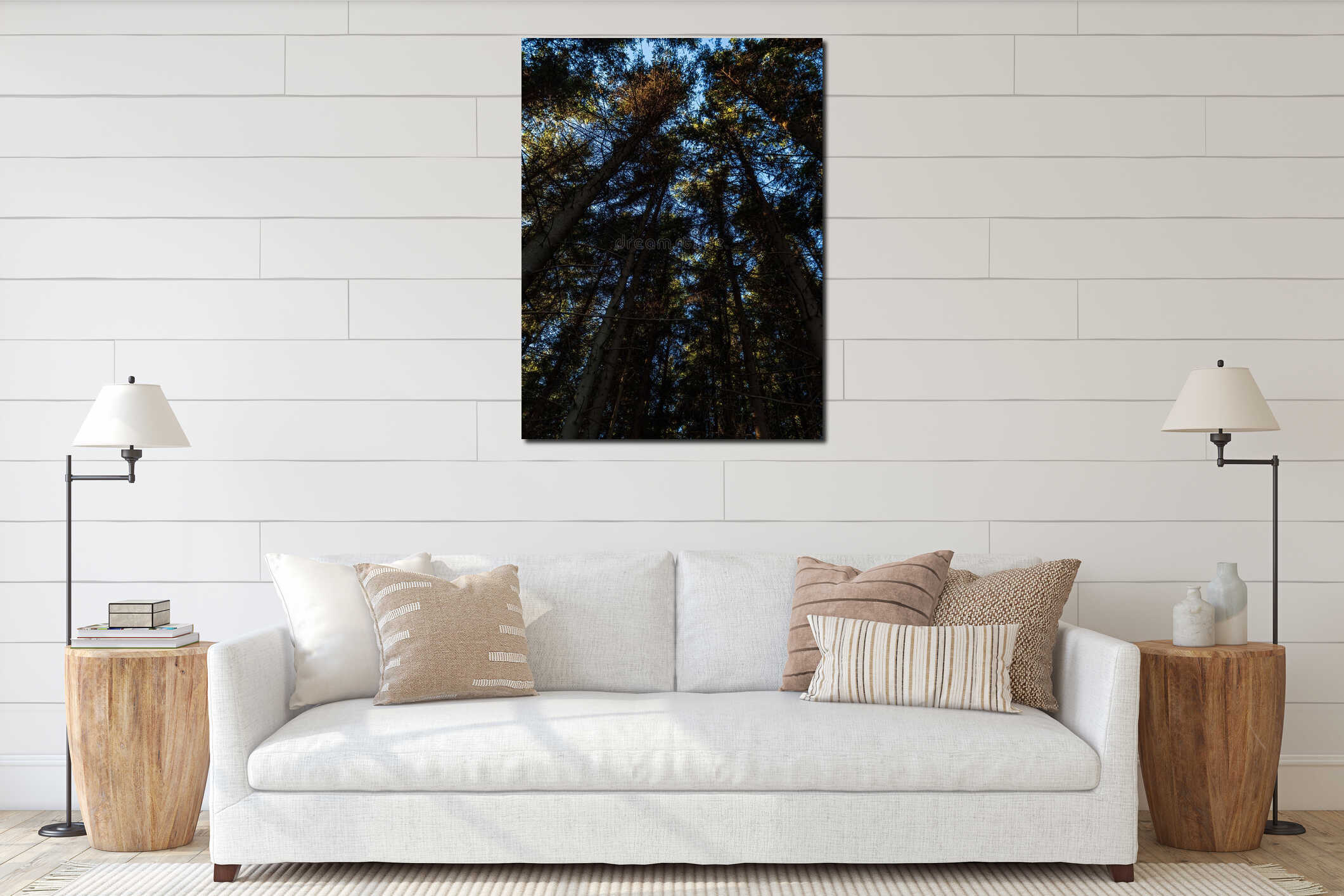 Pine forest canopy looking up interior mockup