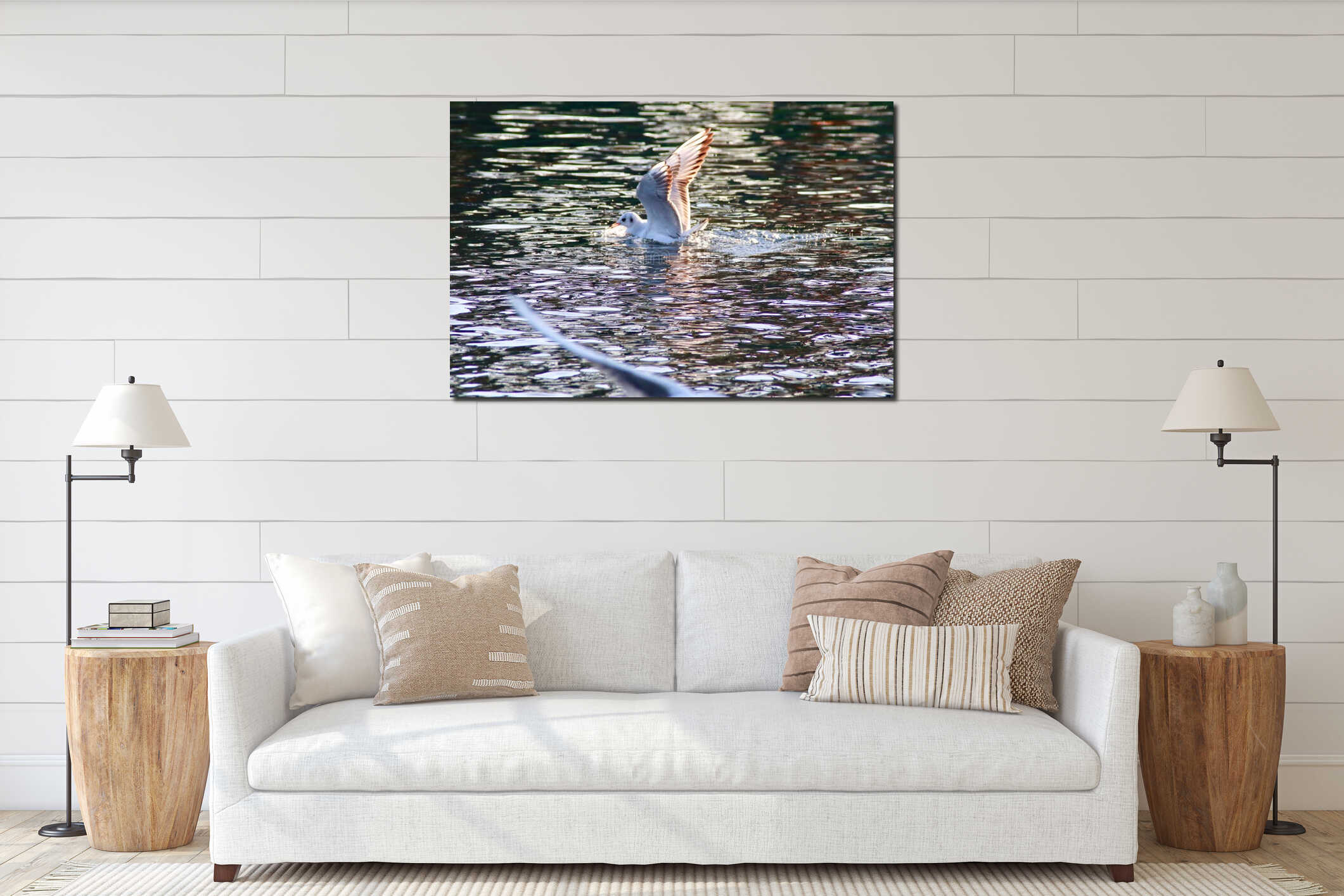 Black headed gull touching down on water interior mockup