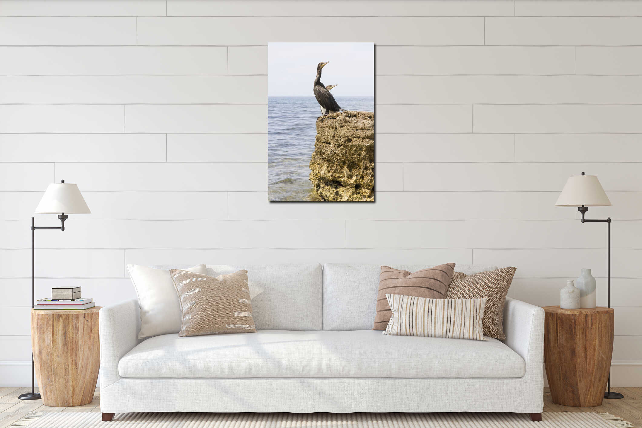 Cormorant on rock interior mockup