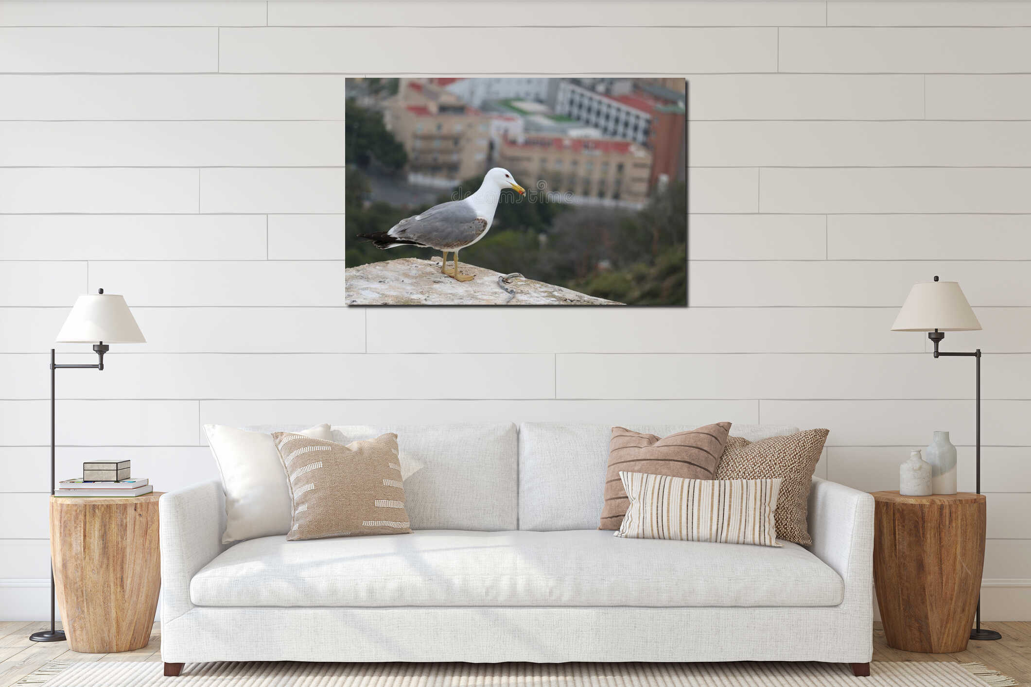 A seagull watches us from above.El interior mockup