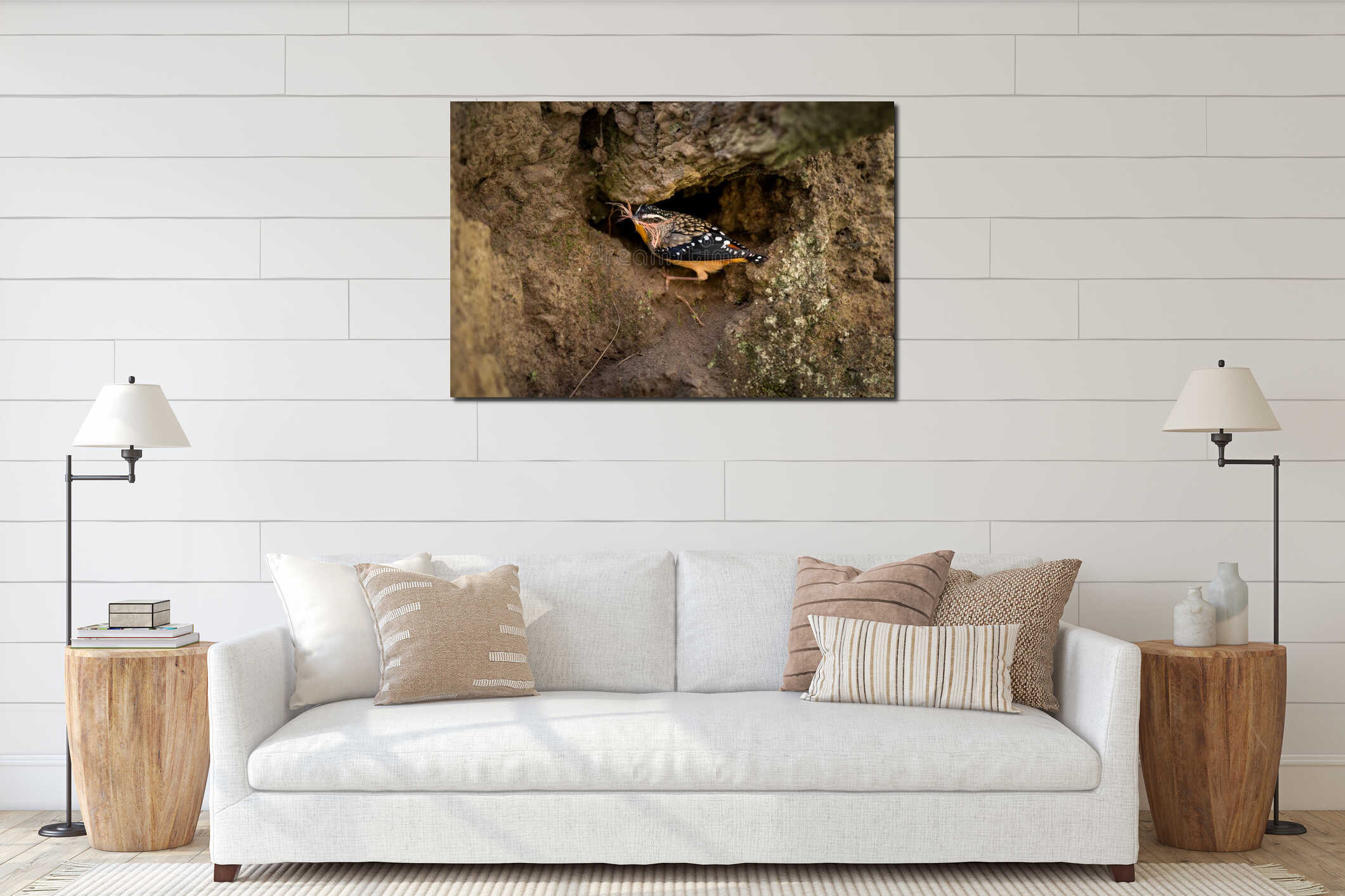 Closeup of a Spotted Pardalote bird perched between rocks interior mockup