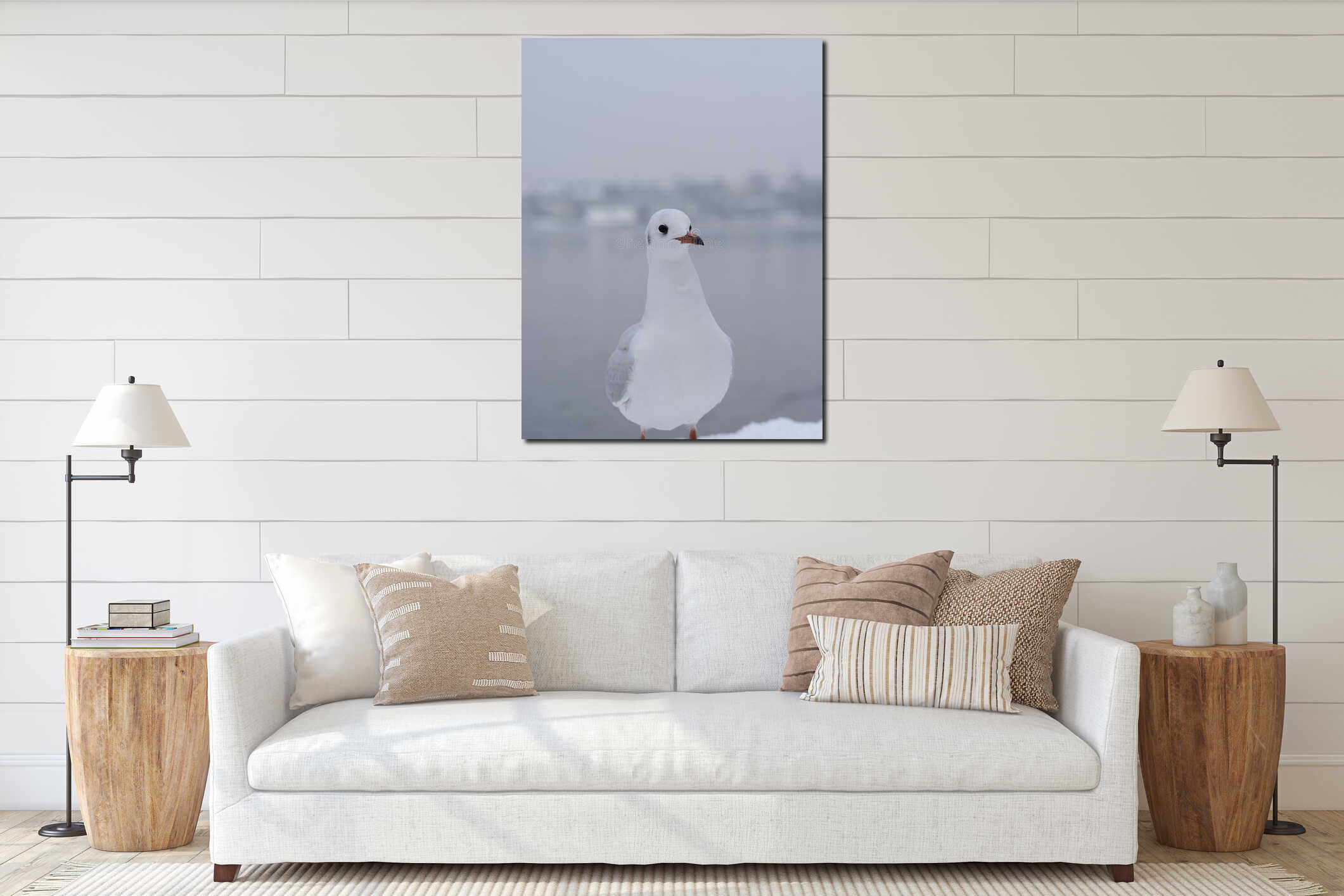 worried Seagull standing on shore of the reservoir at the first snow interior mockup