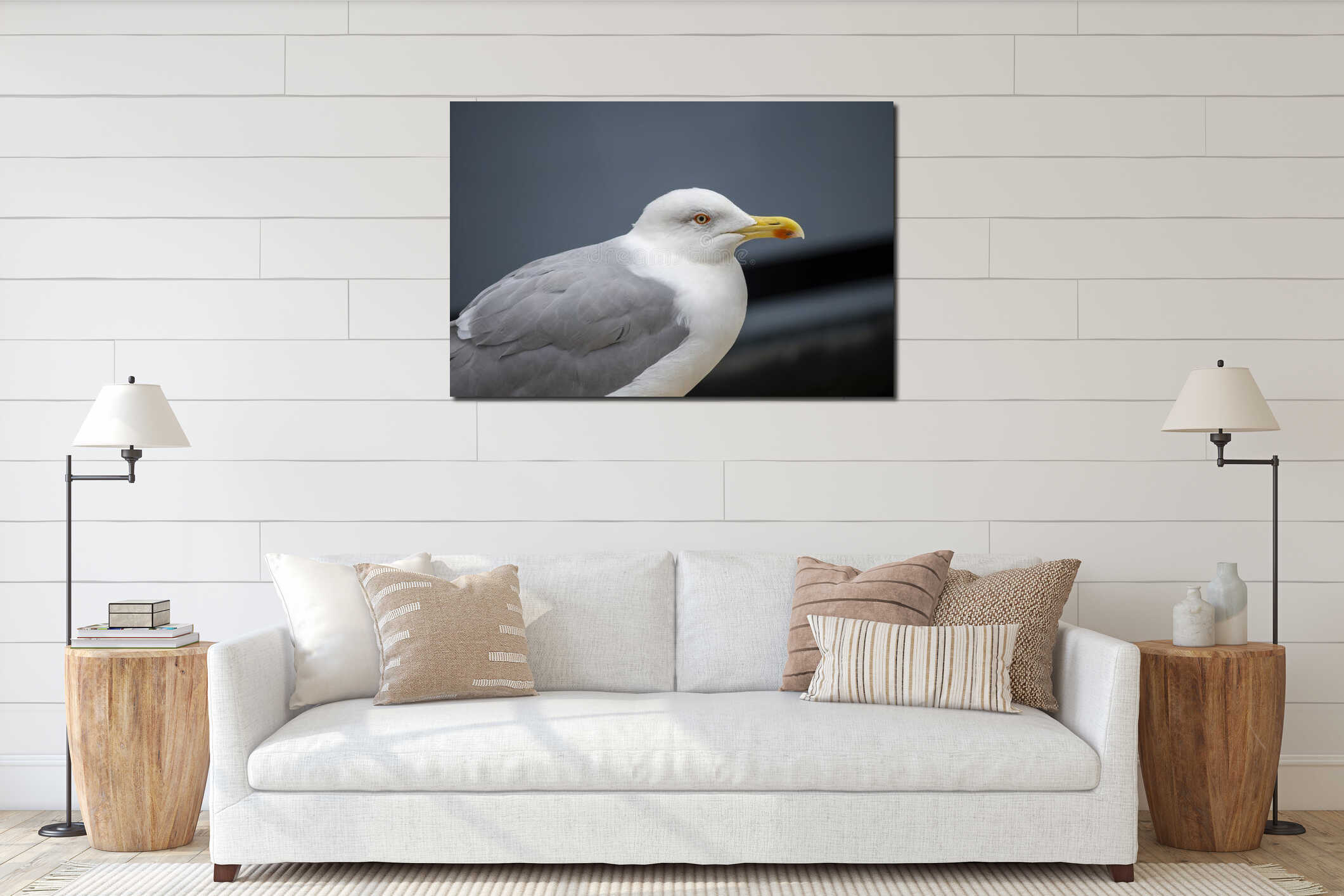 Grey and white seagull bird close up interior mockup