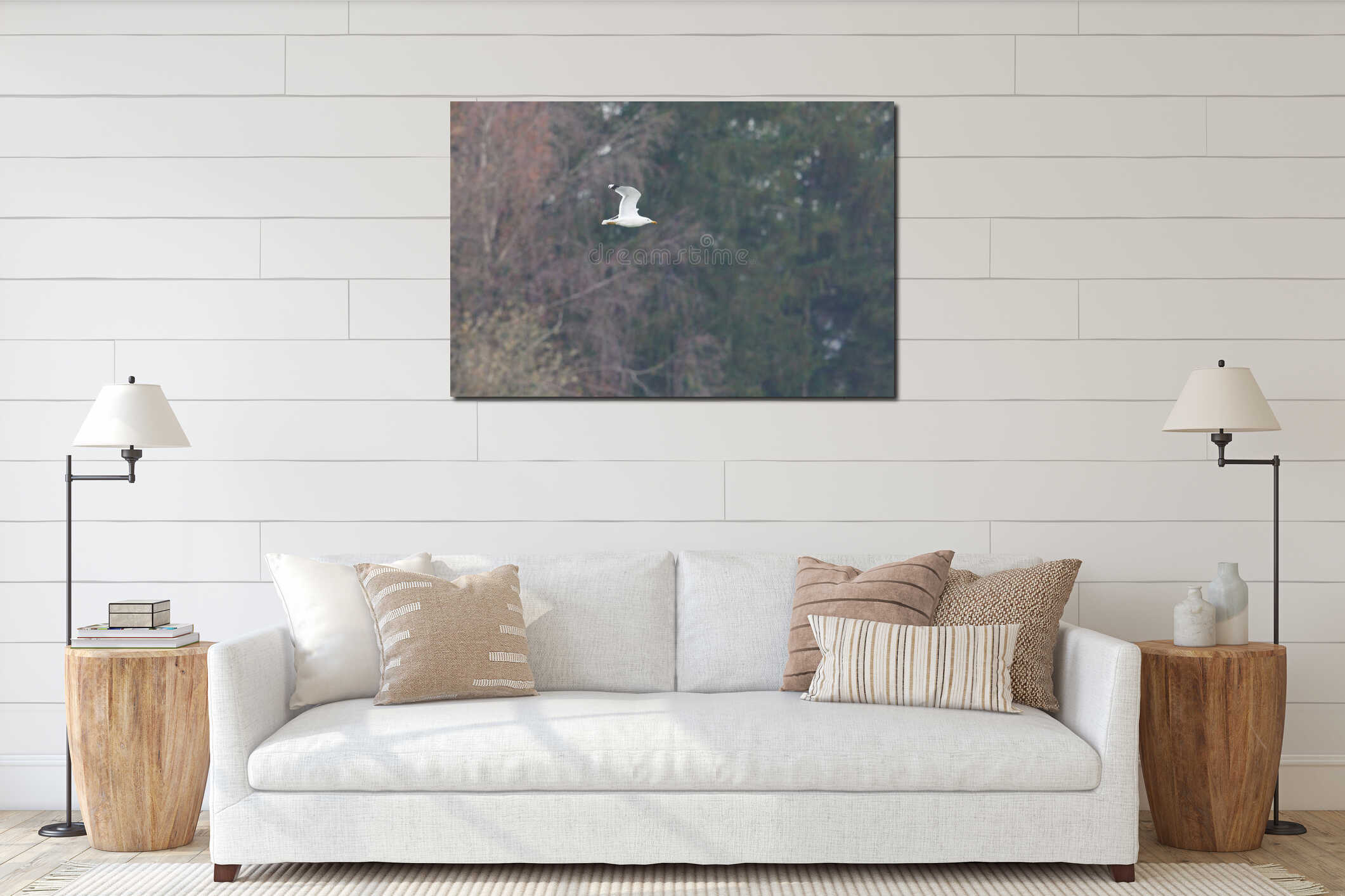 yellow-legged gull (larus michahellis) in flight in front of a forest interior mockup