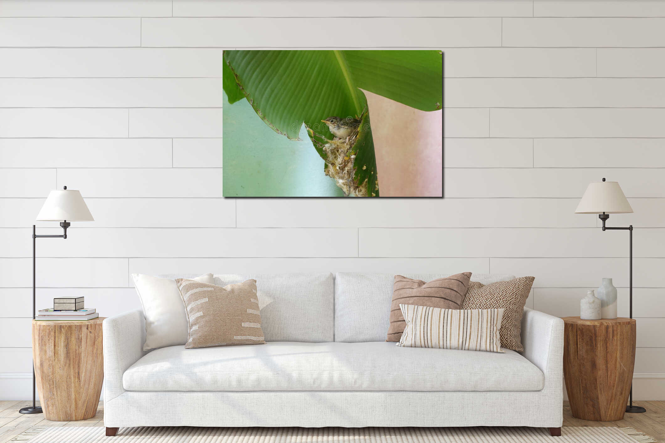A Common tailorbird saw something from a nest and space. interior mockup
