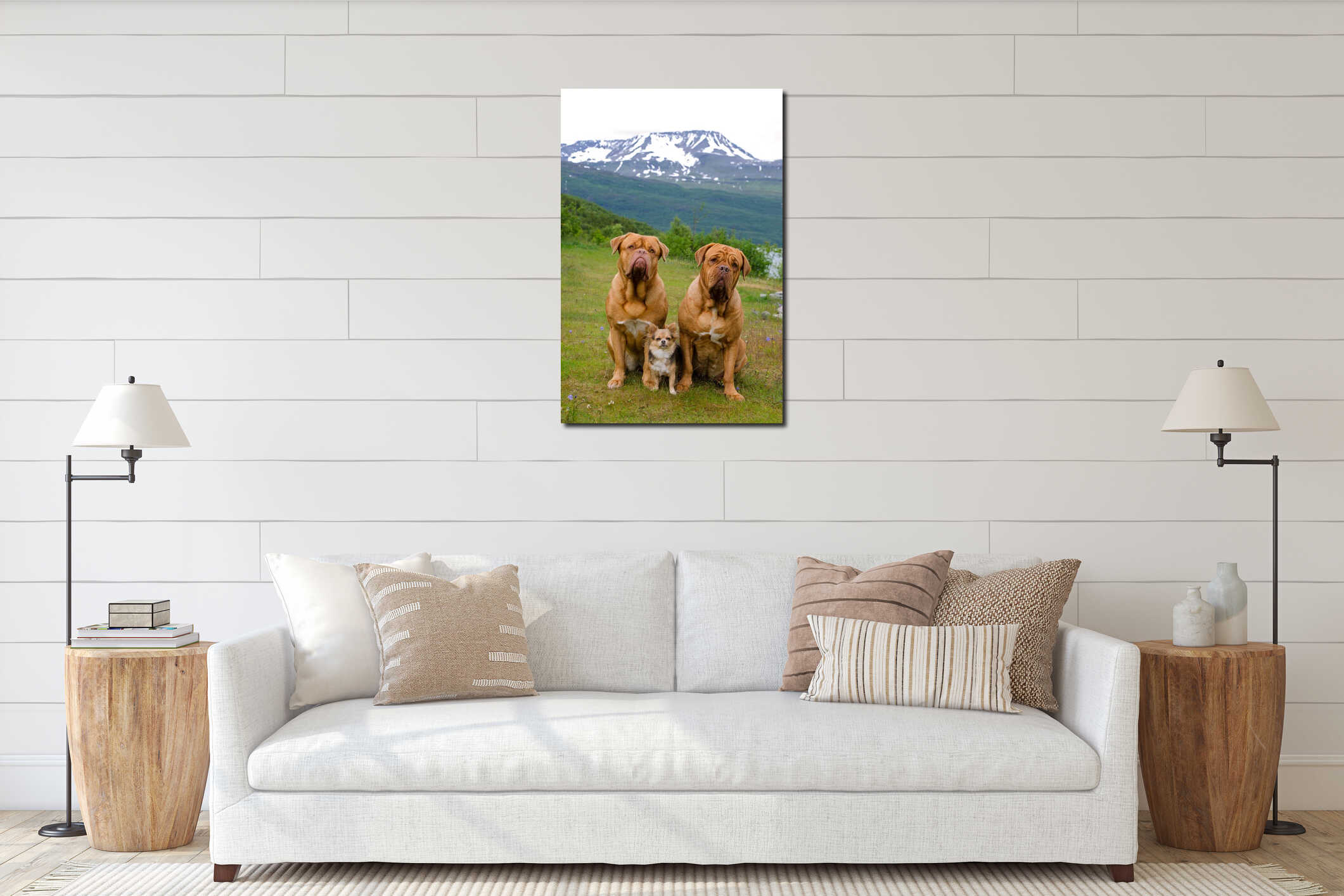 Three dogs against Norwegian landscape interior mockup