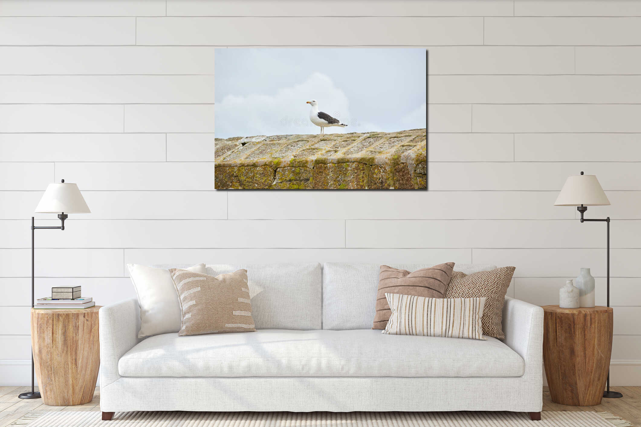 Mousehole, Cornwall, UK - Seagull (Larus argentatus) standing on harbour wall interior mockup