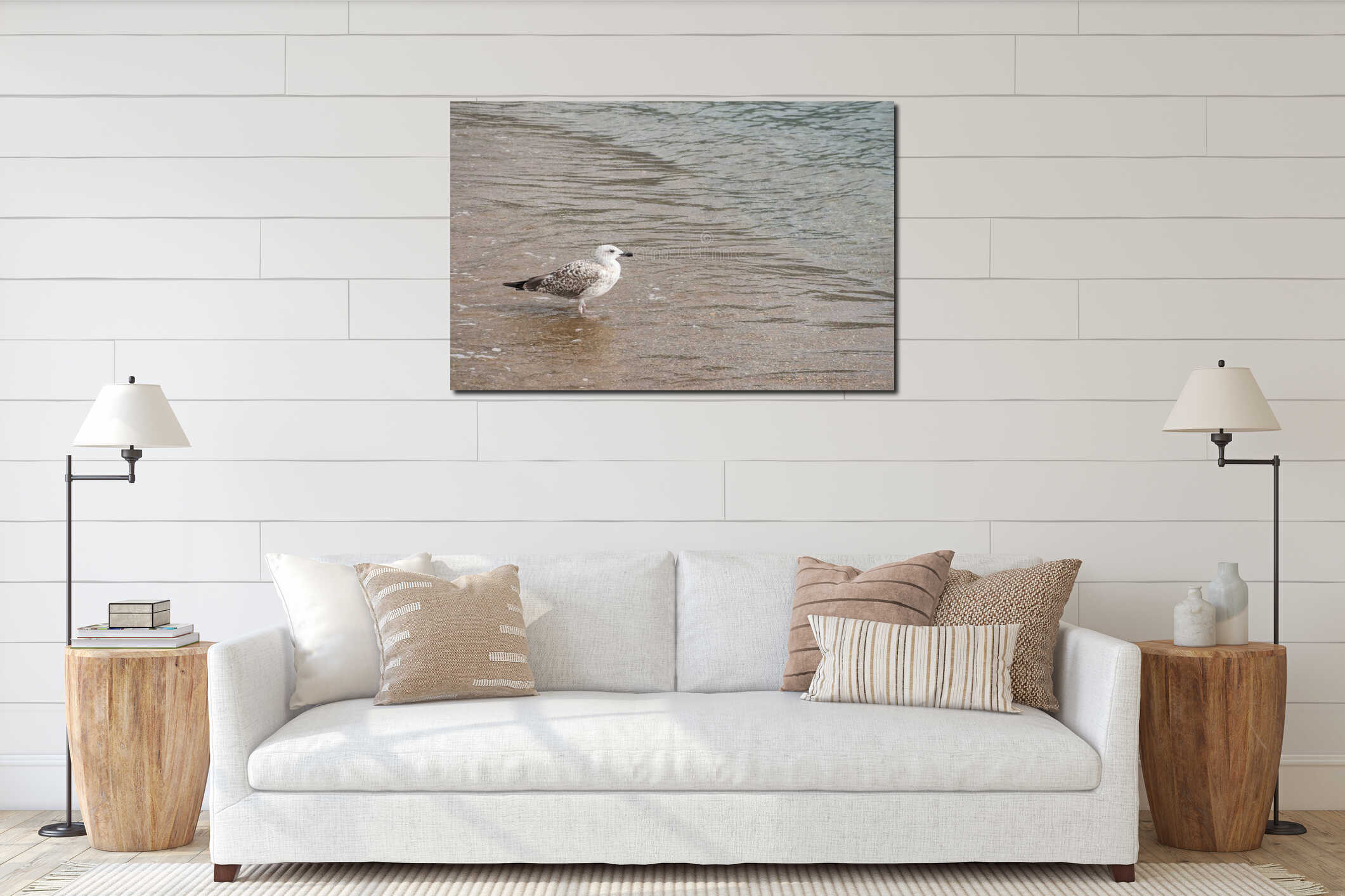White and brown seagull standing in the rippled clean water on sandy sea beach. interior mockup