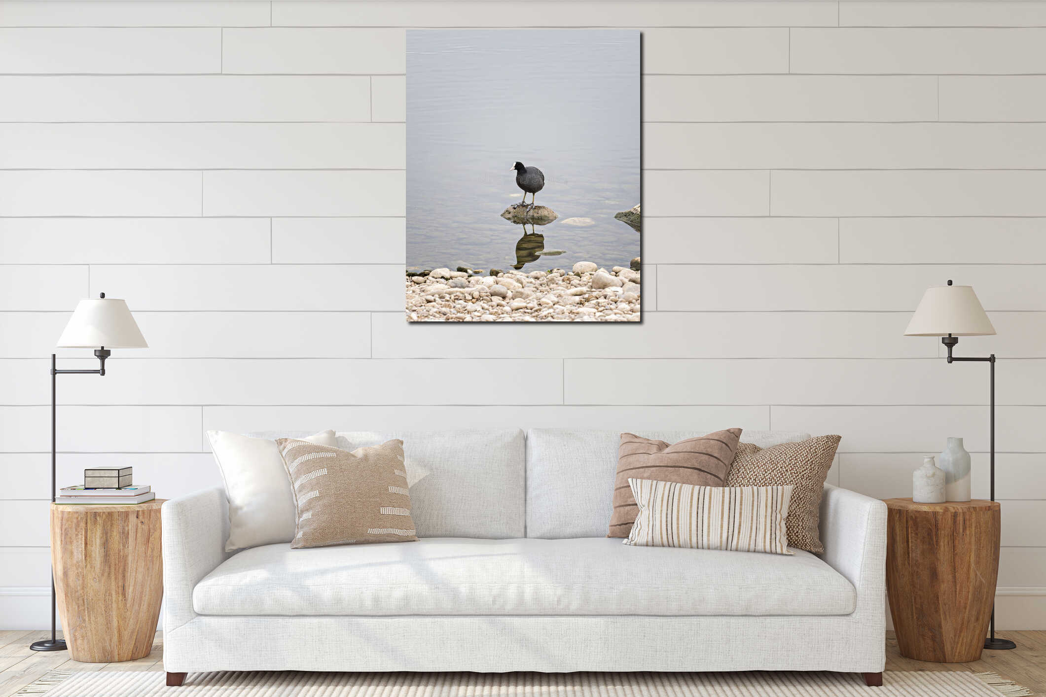 Small Eurasian coot bird perched atop a rocky outcrop in a tranquil body of water interior mockup