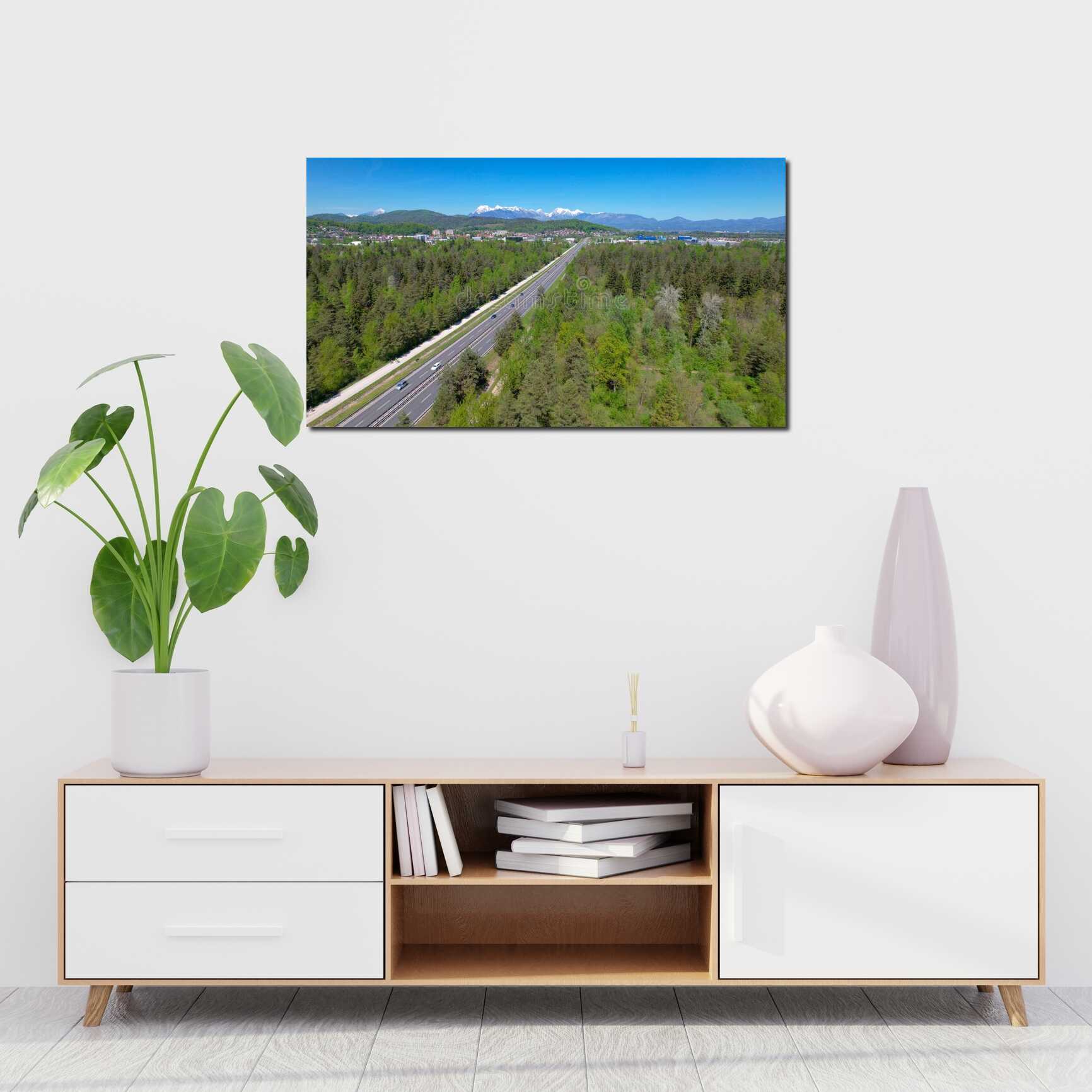 Canvas above sofa for size context