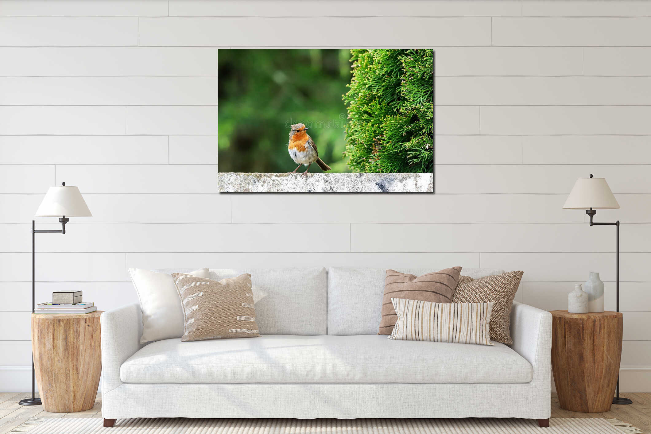 A closeup shot of a European robin bird perched on a wall interior mockup