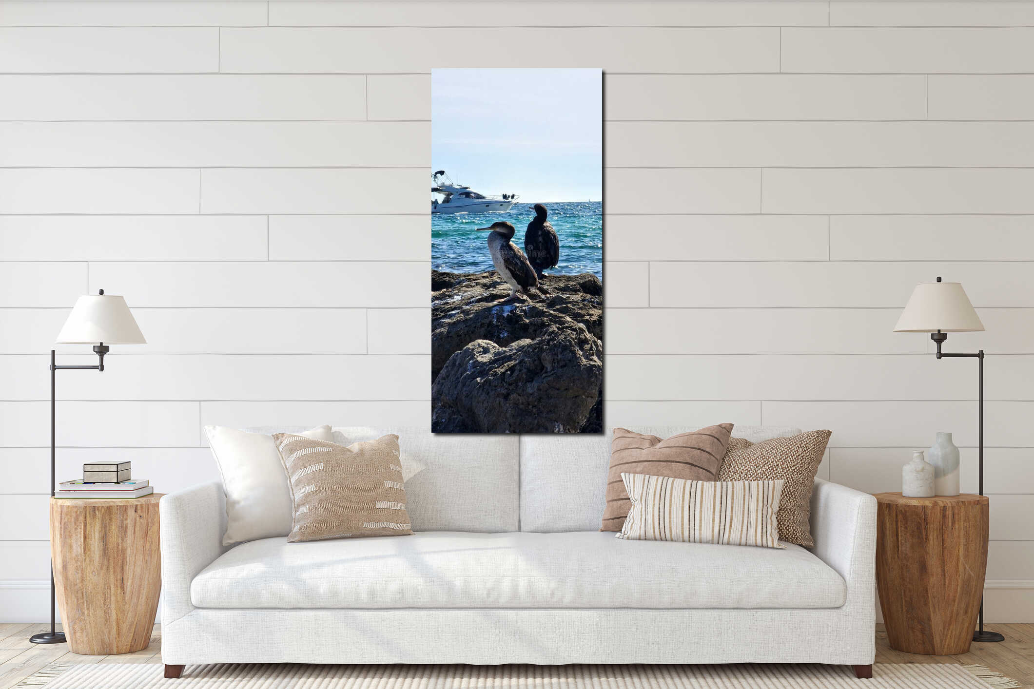 flock of cormorants sitting on the rocks interior mockup