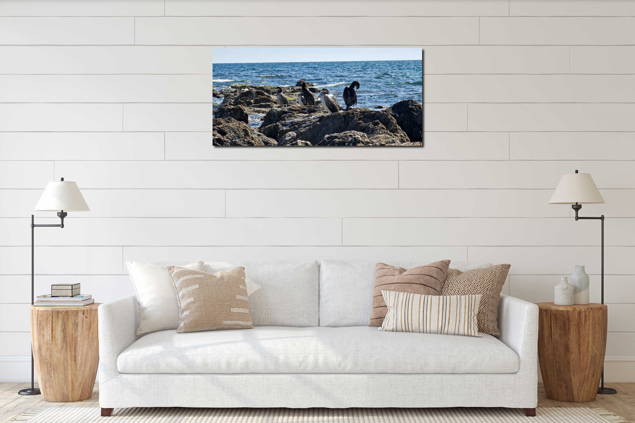 flock of cormorants sitting on the rocks interior mockup