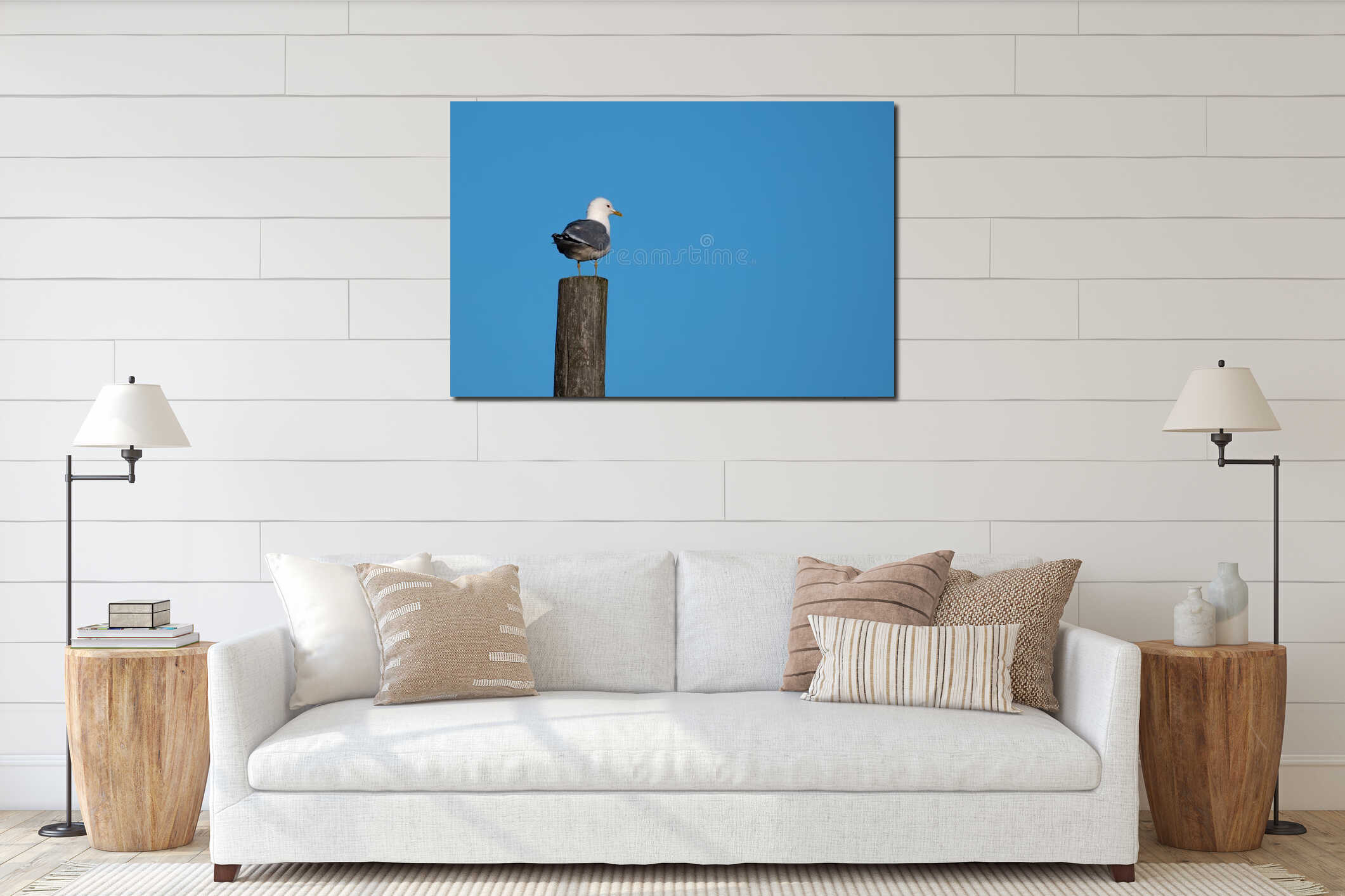 Adult common gull (Larus canus) standing on a wooden post against a clear blue sky in Finland interior mockup