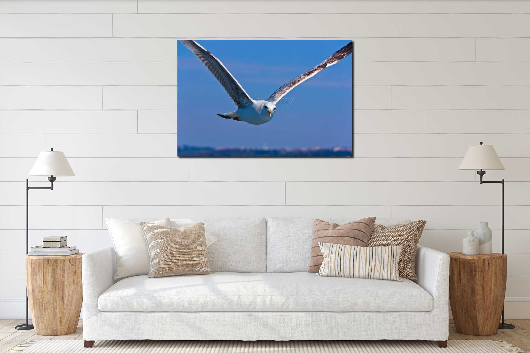 Close Seagull Flying and Looking interior mockup