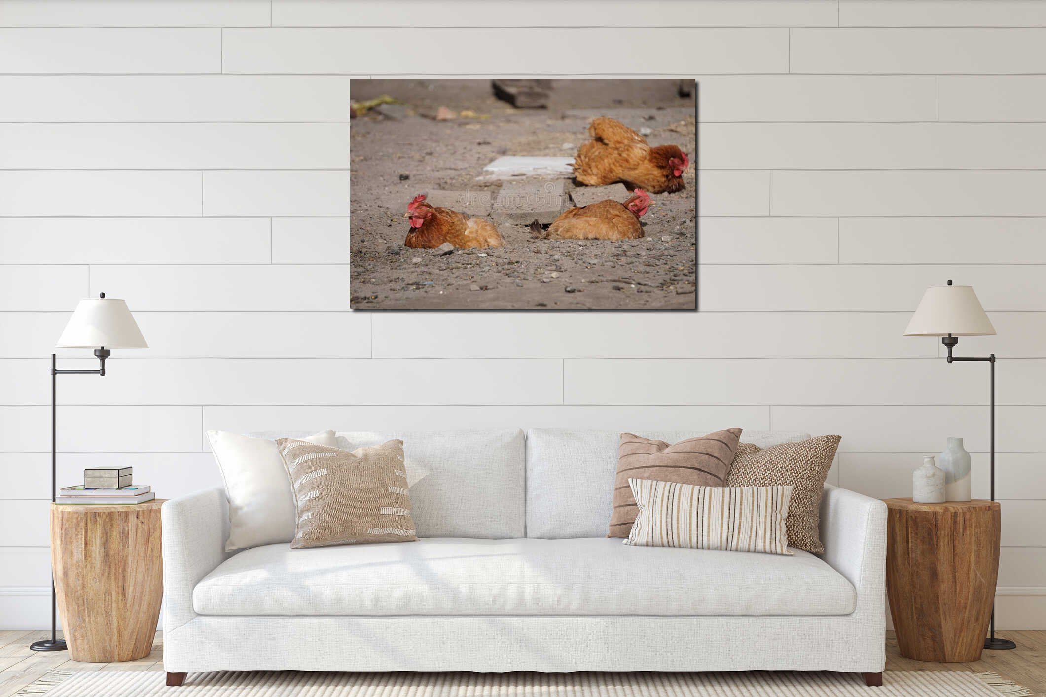 Chickens are basking in the sun interior mockup