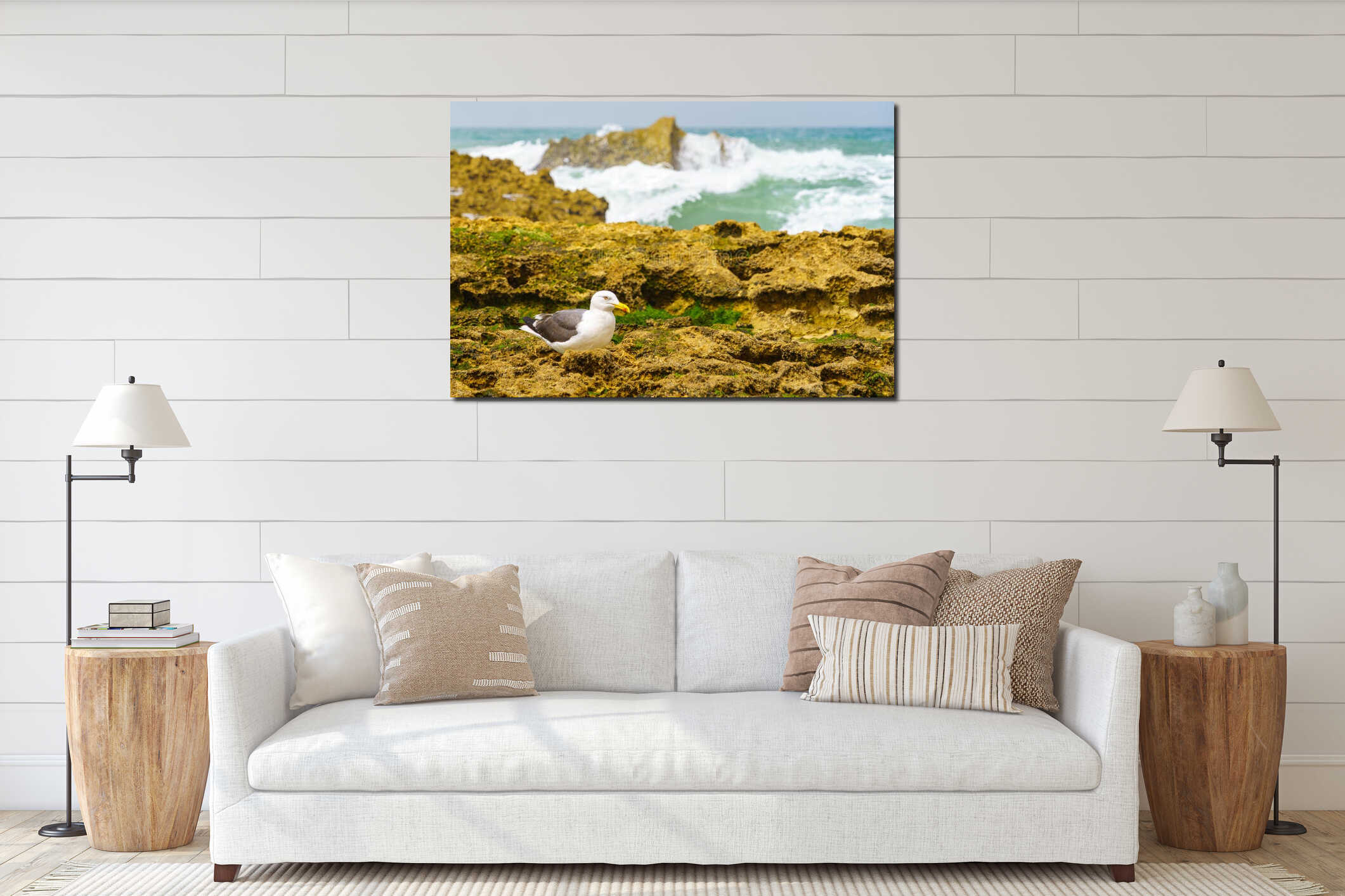 Seagull on the rocky beach, village resort Oualidia interior mockup