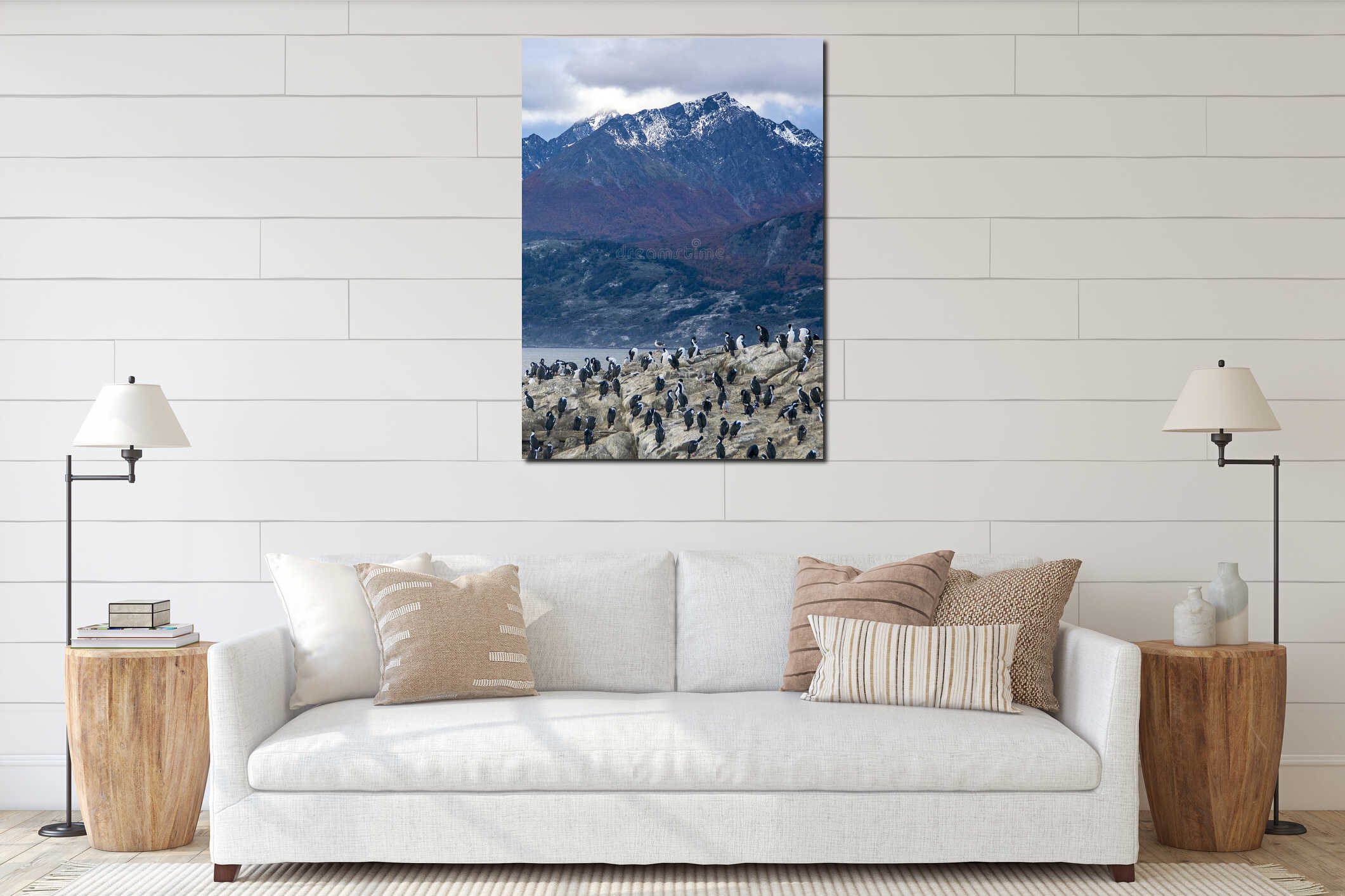 King cormorants colony, ushuaia interior mockup