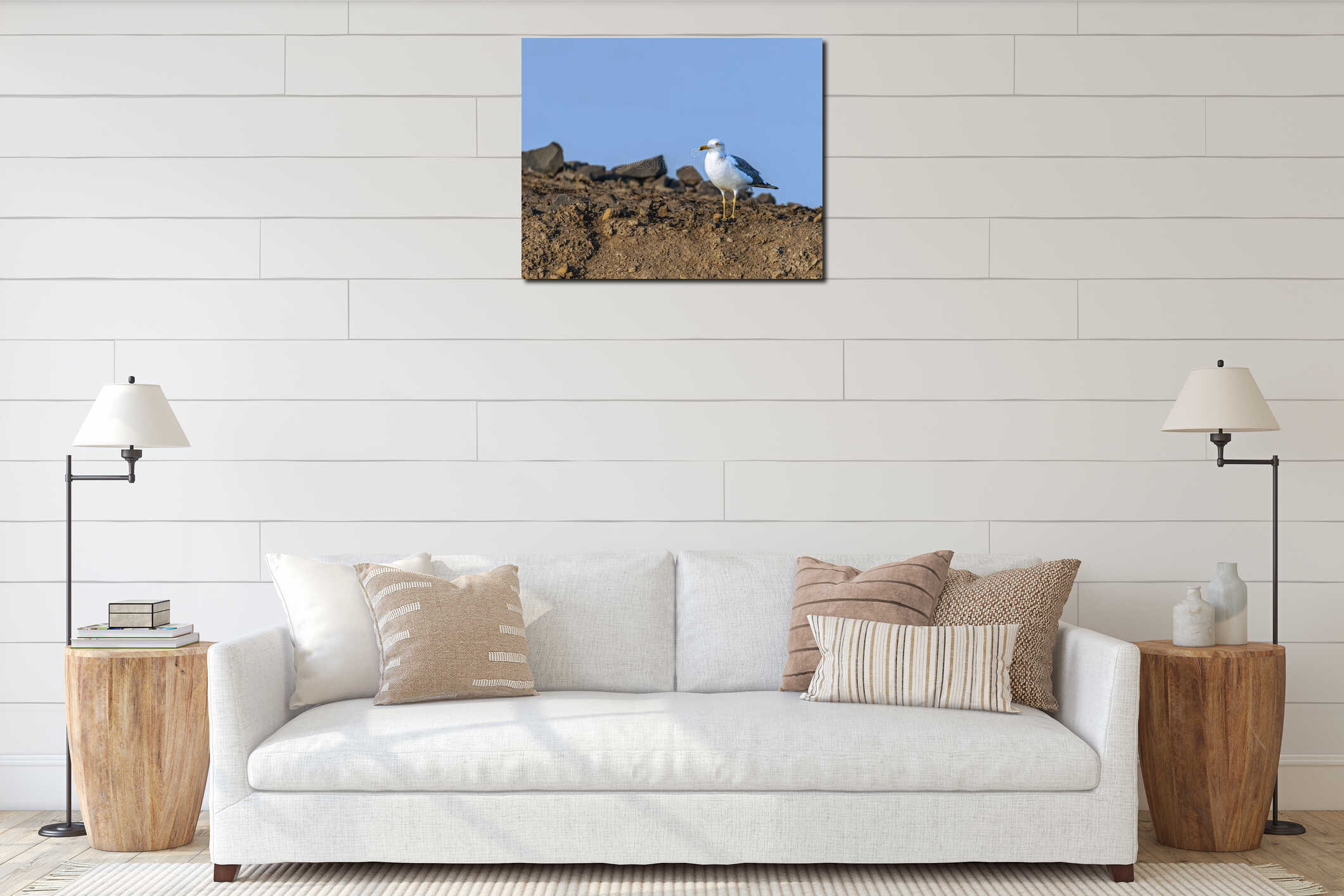 Seagull perched on a rocky surface interior mockup