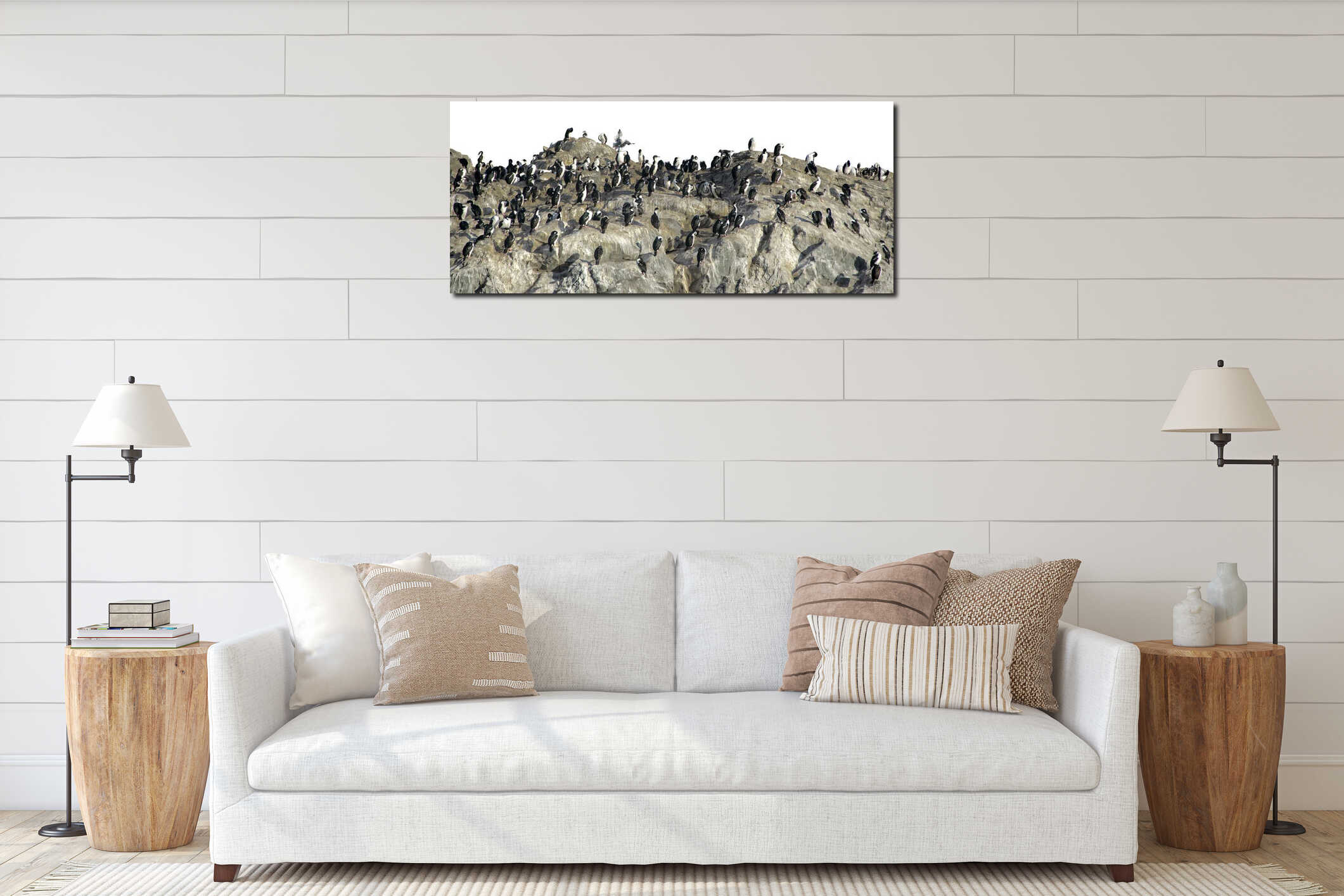 King cormorants colony isolated photo interior mockup