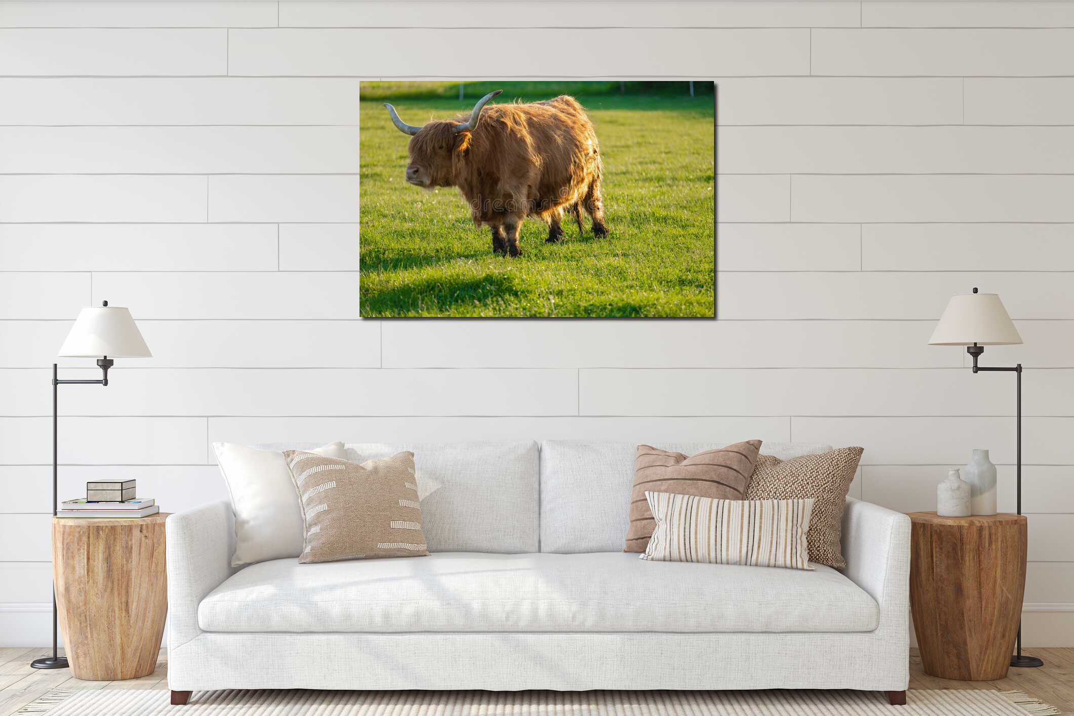 Highland breed.Red hairy bull. Farming and cow breeding. highland cows graze on the green meadow.Scottish cows interior mockup