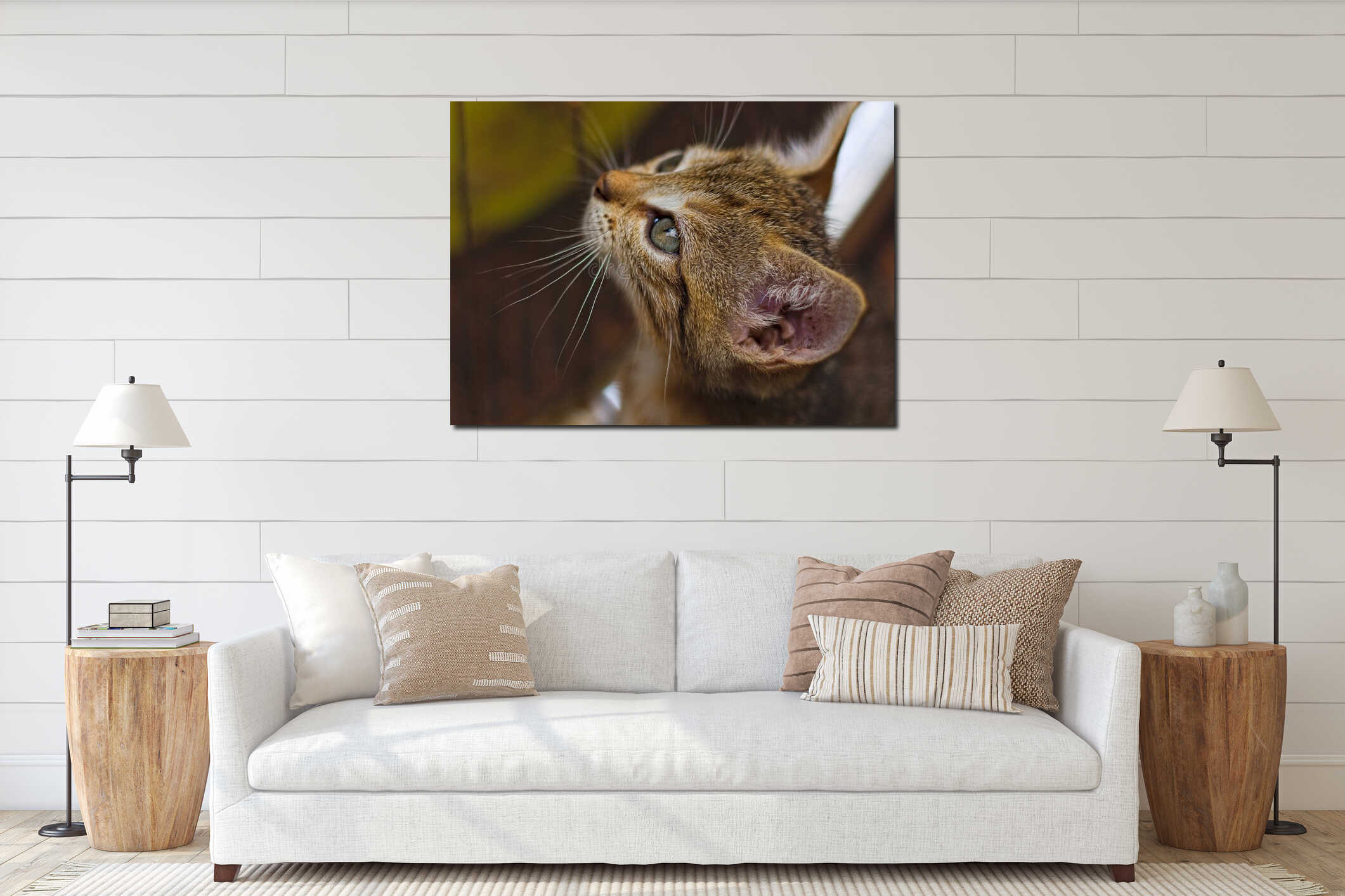 Striped Brown Kitten's Captivating Upward Gaze: A Close-Up Encounter interior mockup