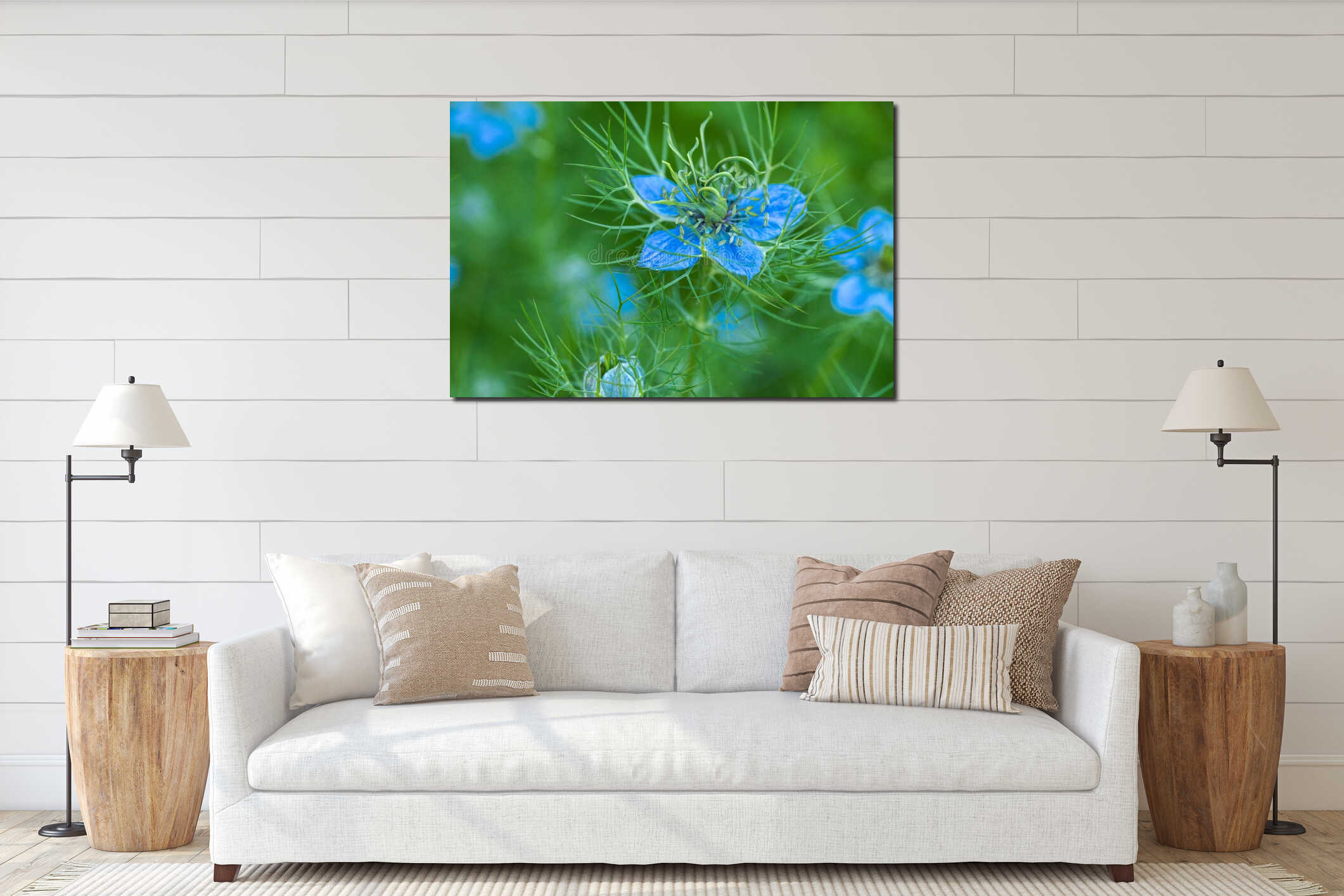 Nigella damascena, love-in-a-mist, or devil in the bush. Blue nigella flowers close up. Spring flowers. interior mockup