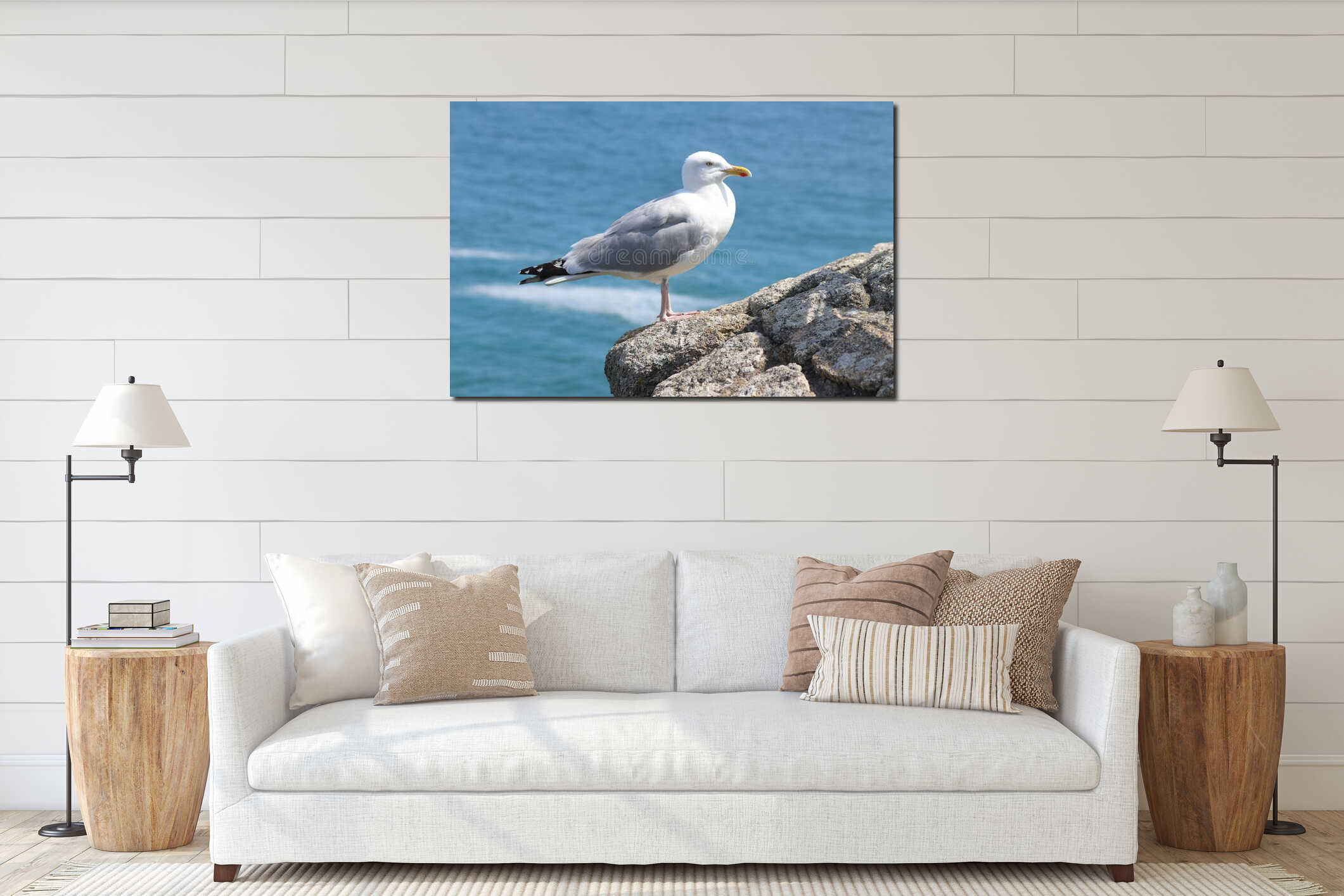 Closeup of a seagull standing on a rock by the water interior mockup