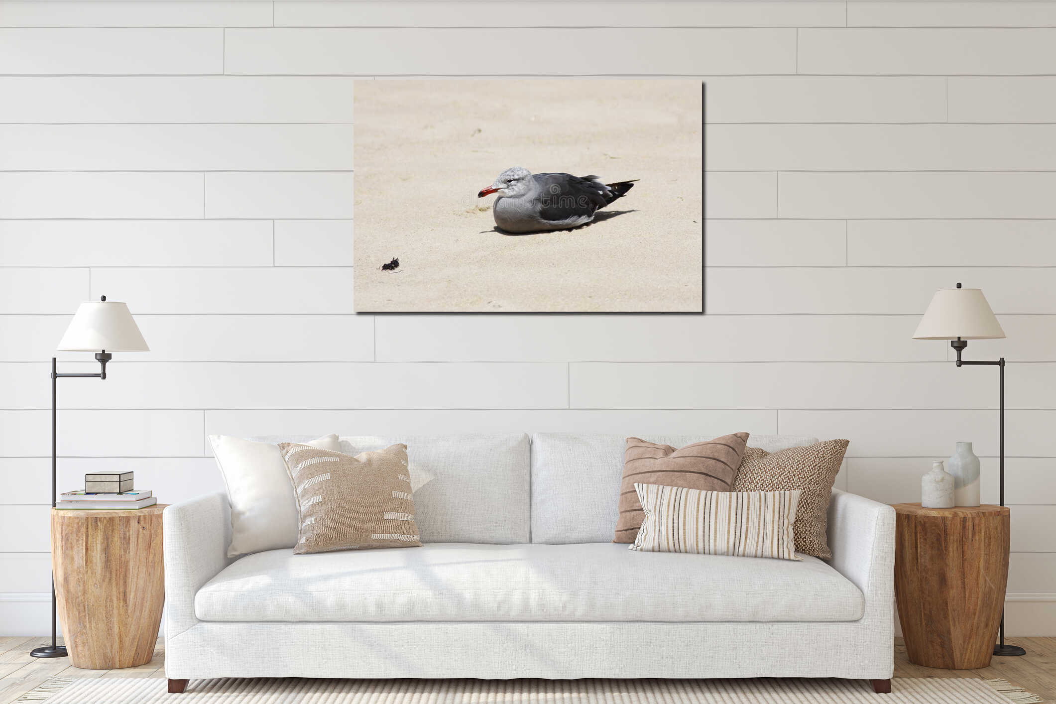 Lone Seagull Sitting On Sand Beach Profile To Camera interior mockup