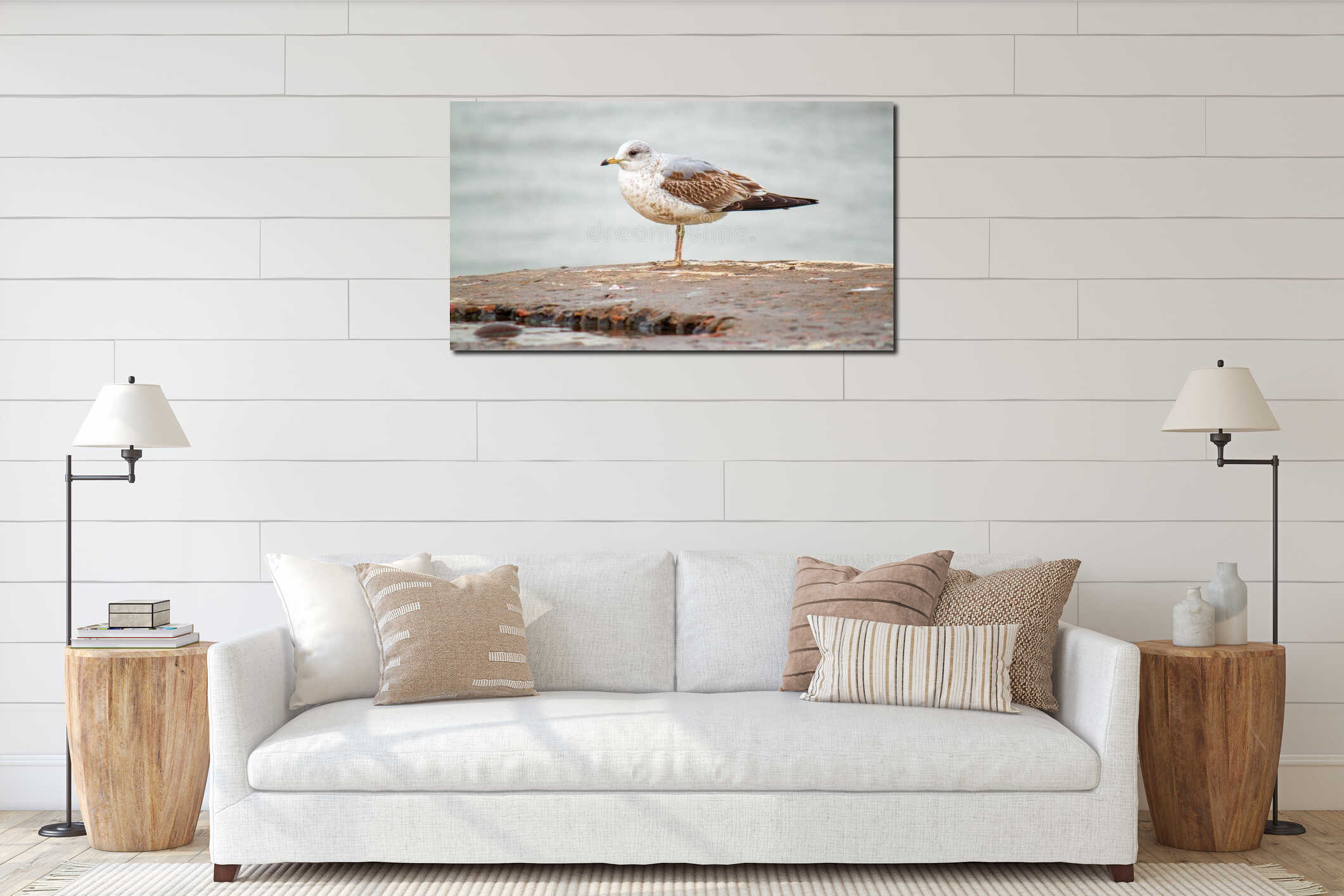 Small, brown seagull perched on the edge of a river bank, looking intently at its surroundings interior mockup