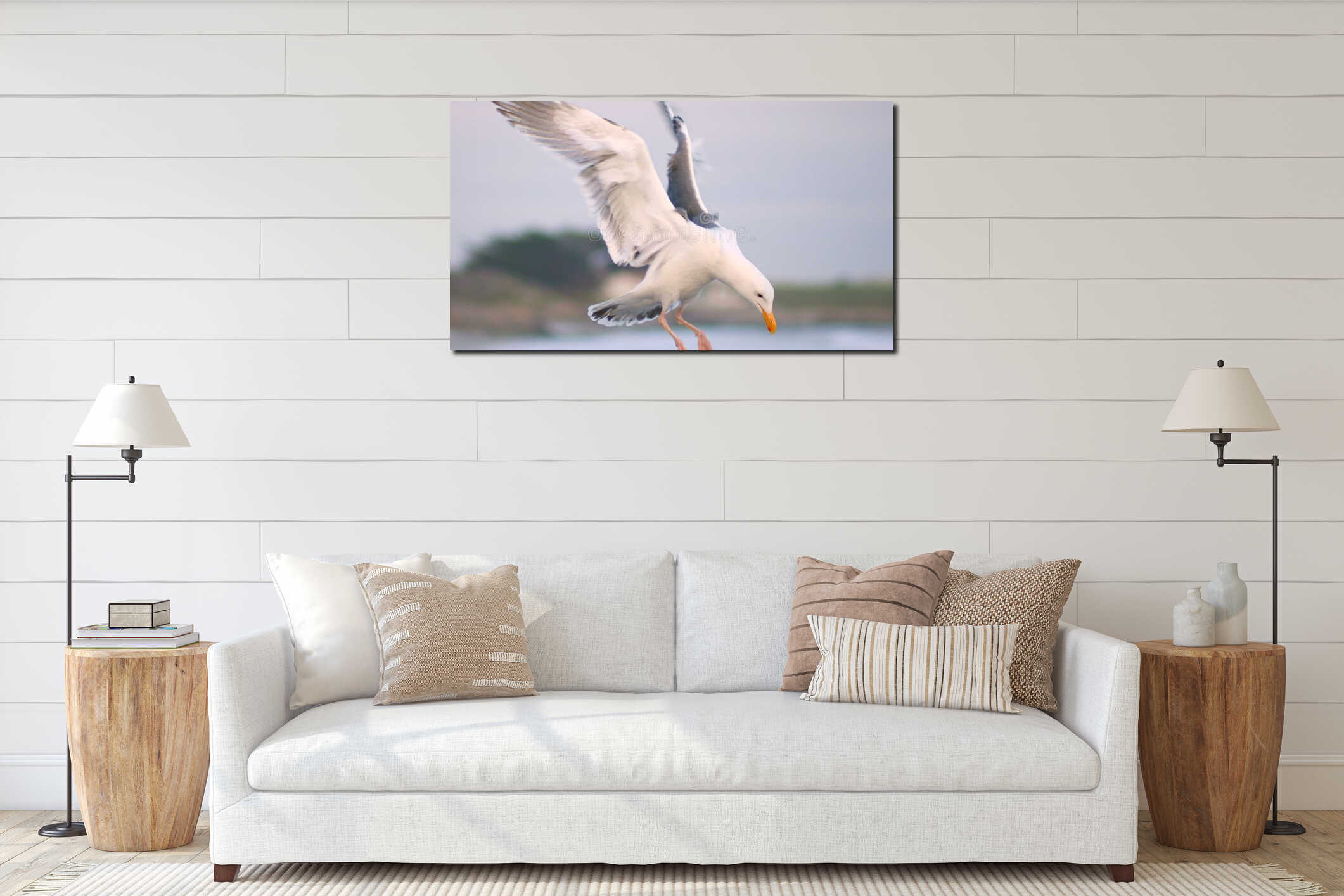 a closeup of a landing seagull interior mockup