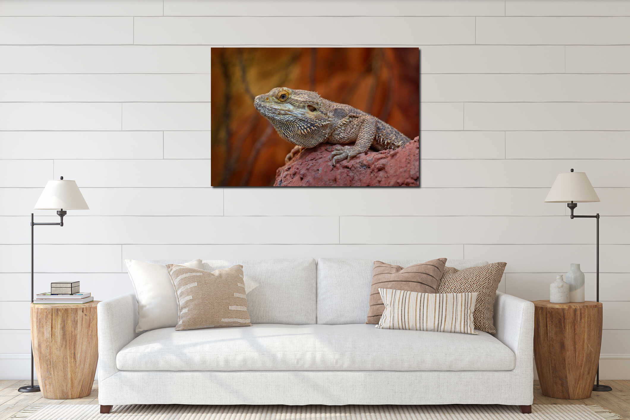 Inland Bearded dragon, Pogona vitticeps, lizard from Australia. Bearded dragon in the nature habitat. Close-up detail portrait on interior mockup