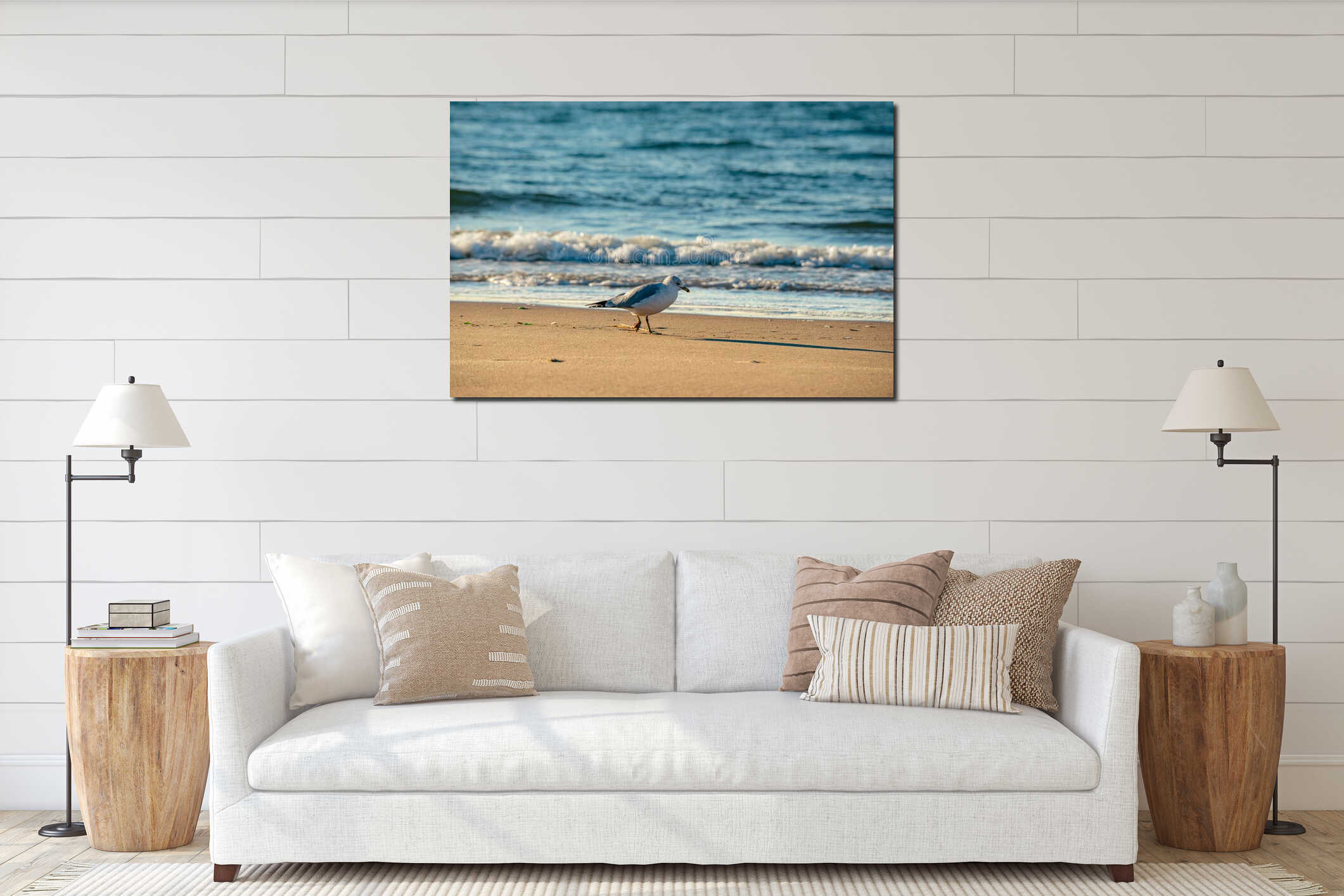 Seagull perched on a sandy beach, its feathers ruffling in the breeze interior mockup
