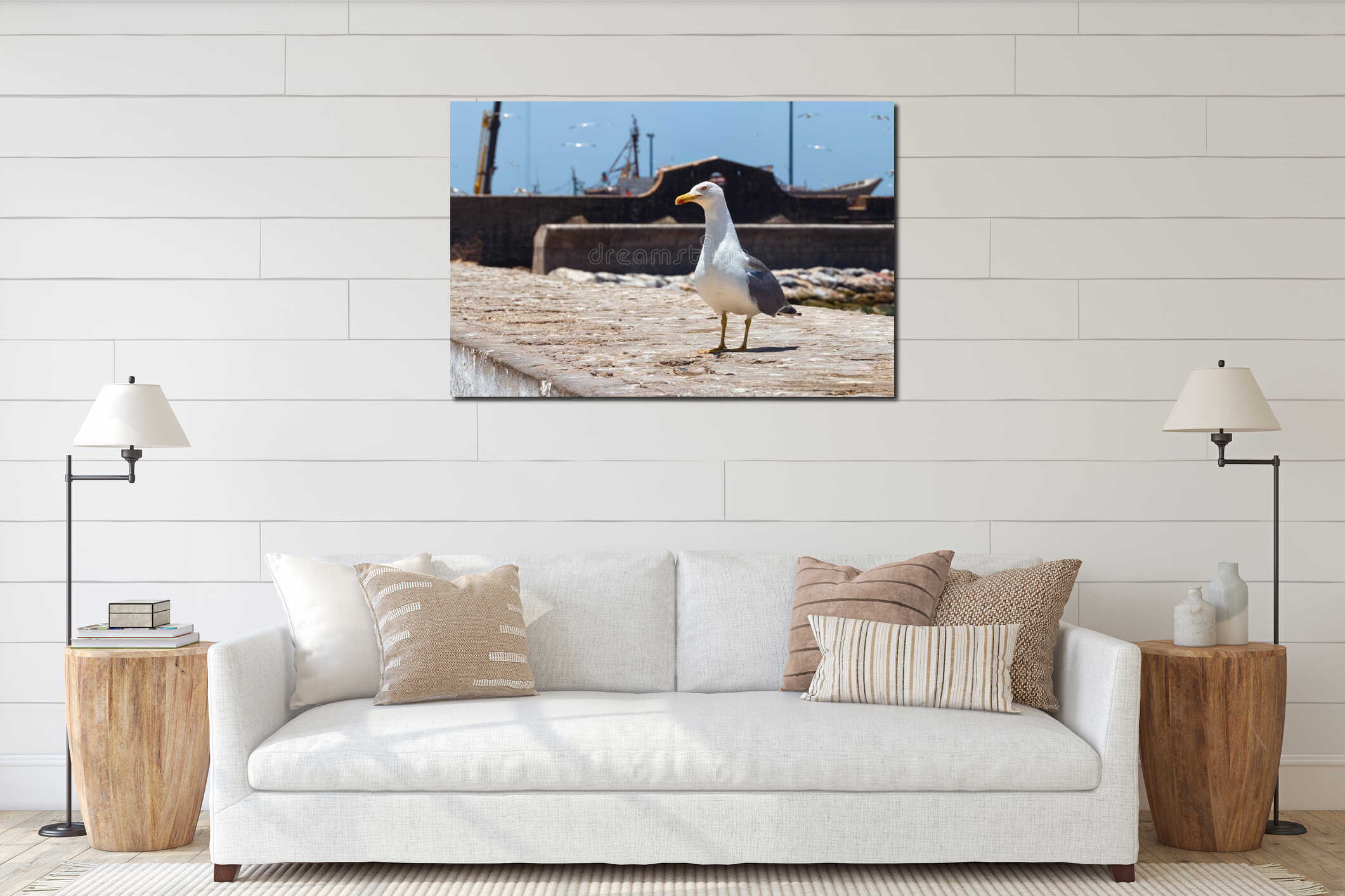 Portrait of the curious big adult yellow-legged seagull in the Essaouira harbour. Morocco interior mockup