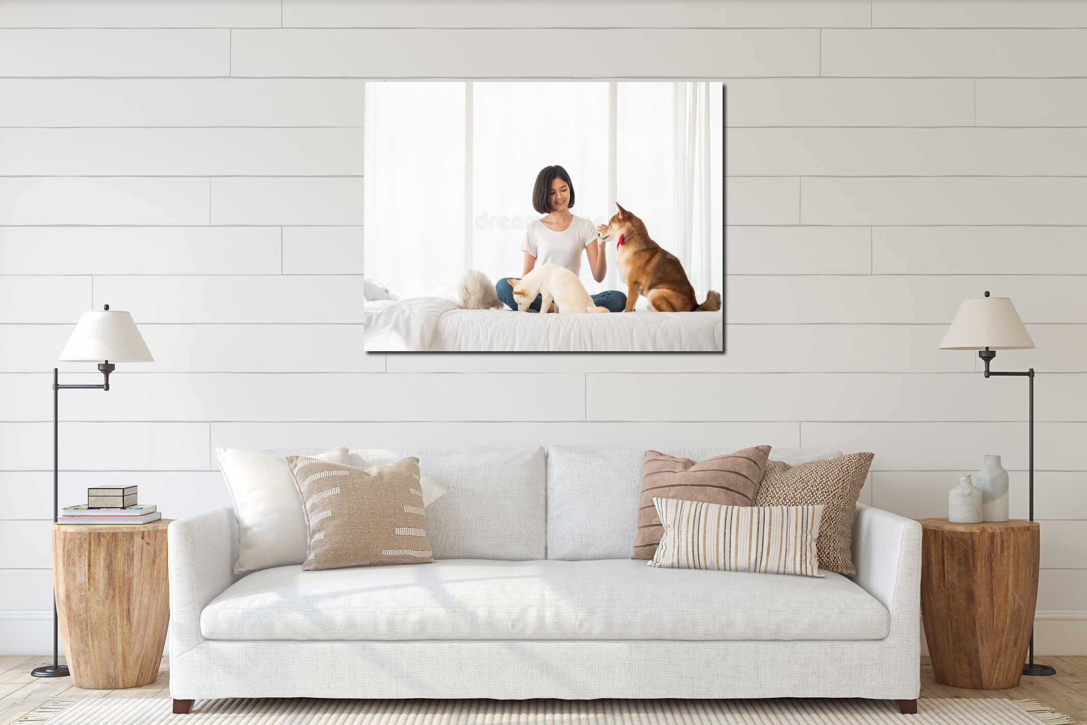 Asian young owner girl feeding pets in bed including Shiba Inu brown color and puppy Maltese dog happy together at the bedroom interior mockup