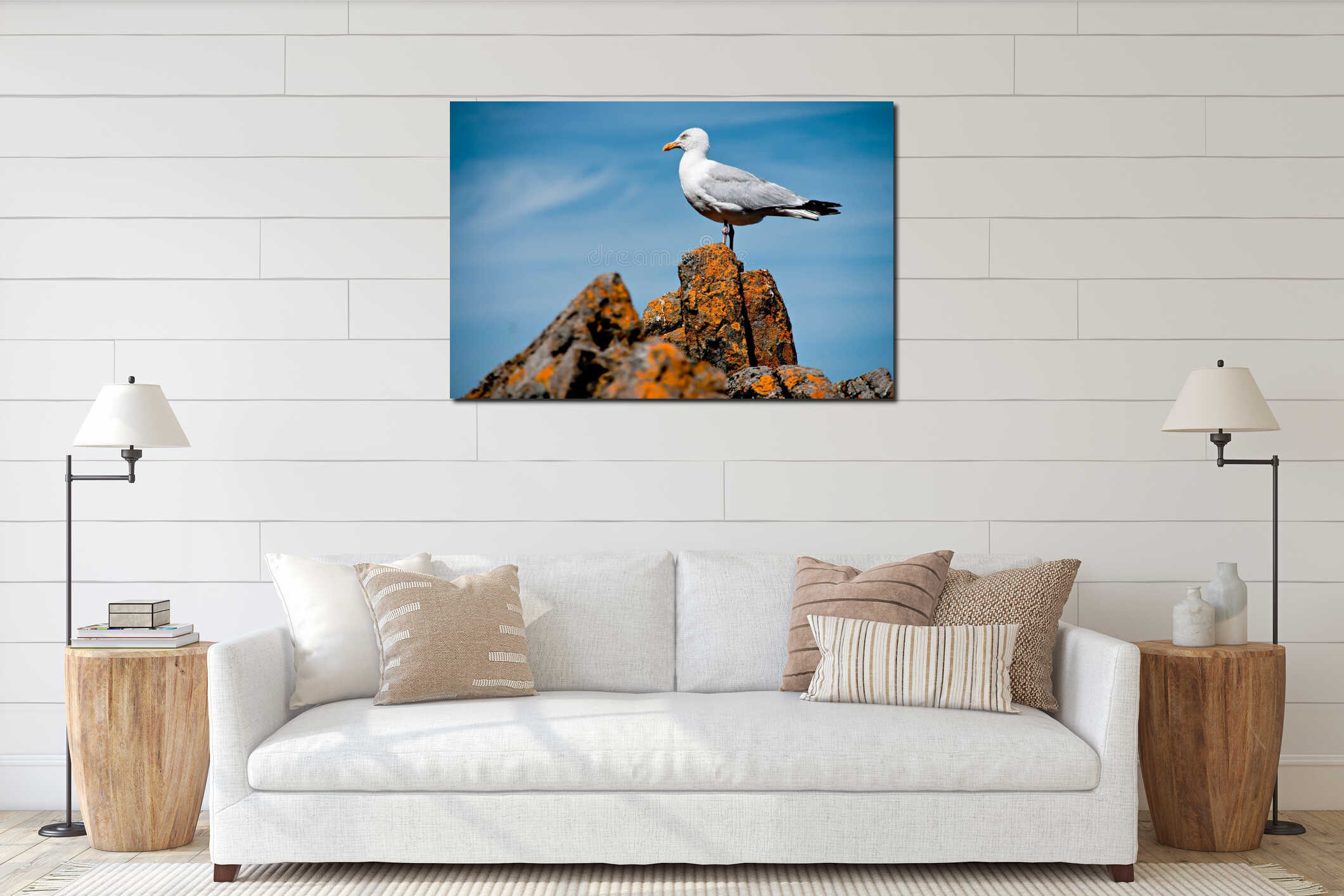 Majestic Gull on Granite Rock: A Stunning Portrait, Bretagne , France interior mockup