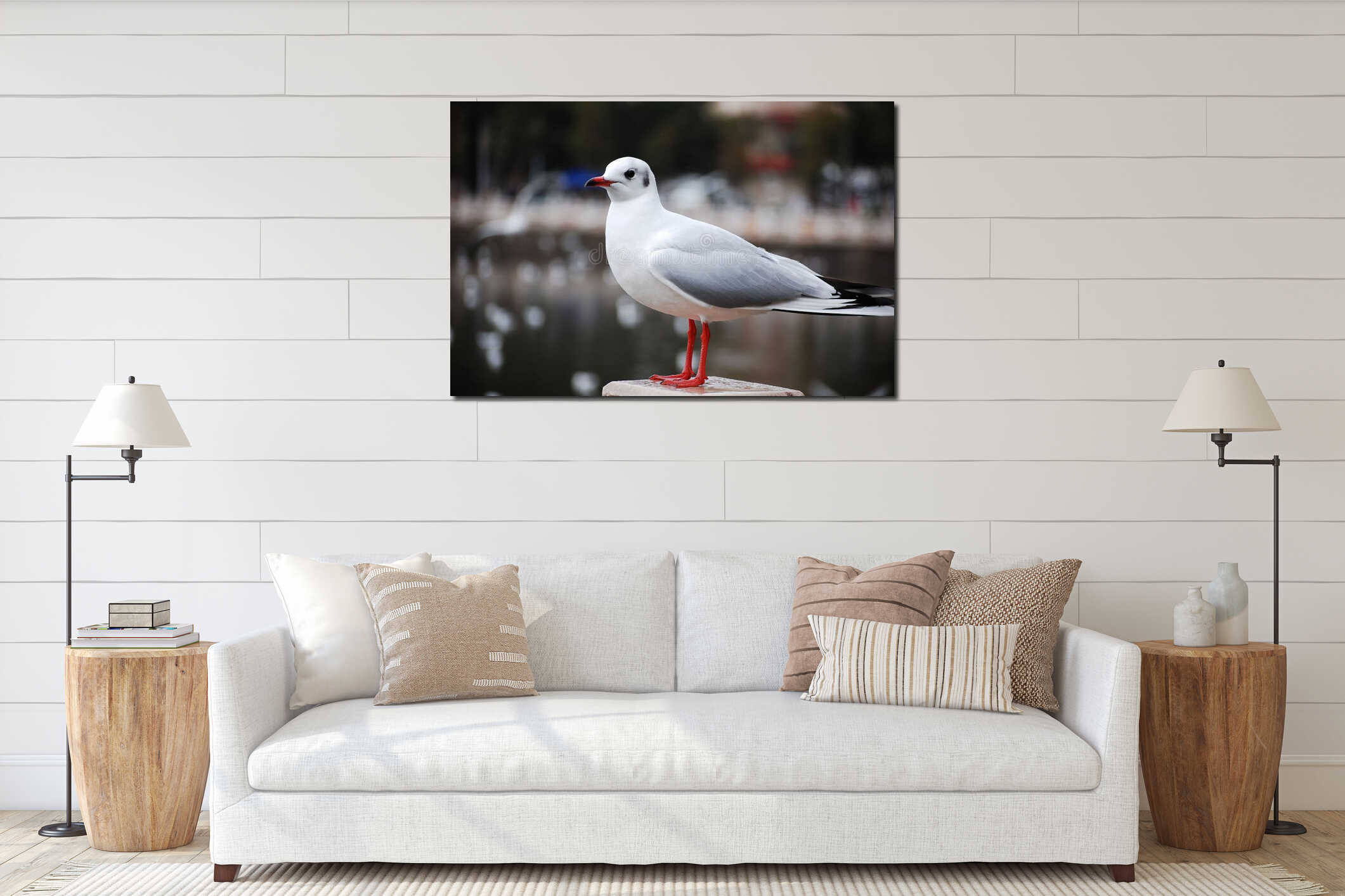 White seagull with red legs perched on a stone in a peaceful natural setting interior mockup