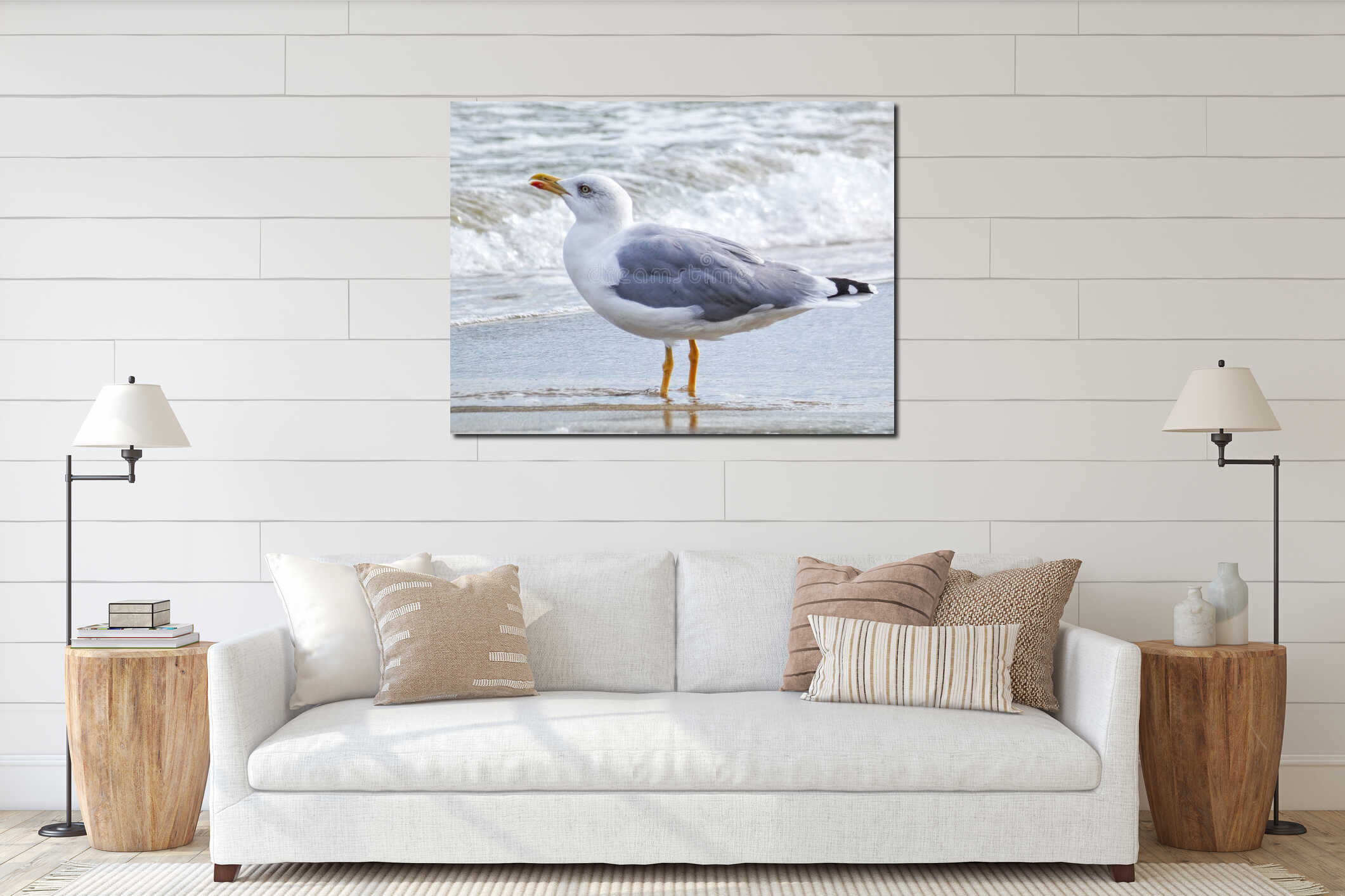 Single seagull standing on the beach in the water. Sea birds photography, vacation wallpaper interior mockup