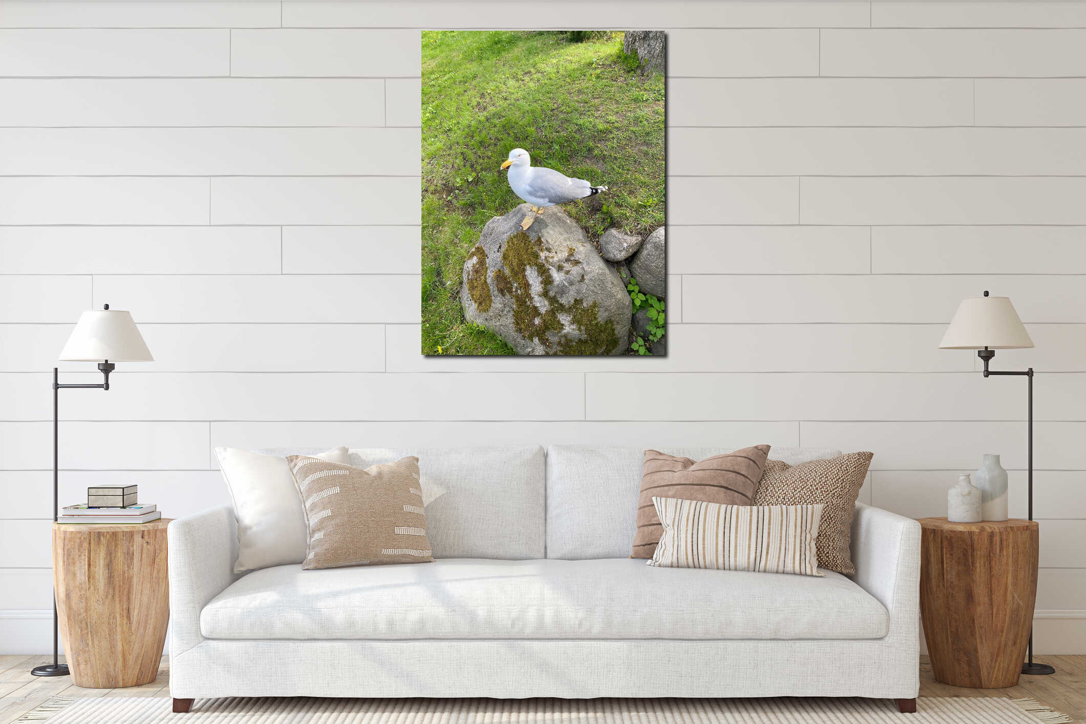 Cormorant sitting on a mossy stone in the park. interior mockup