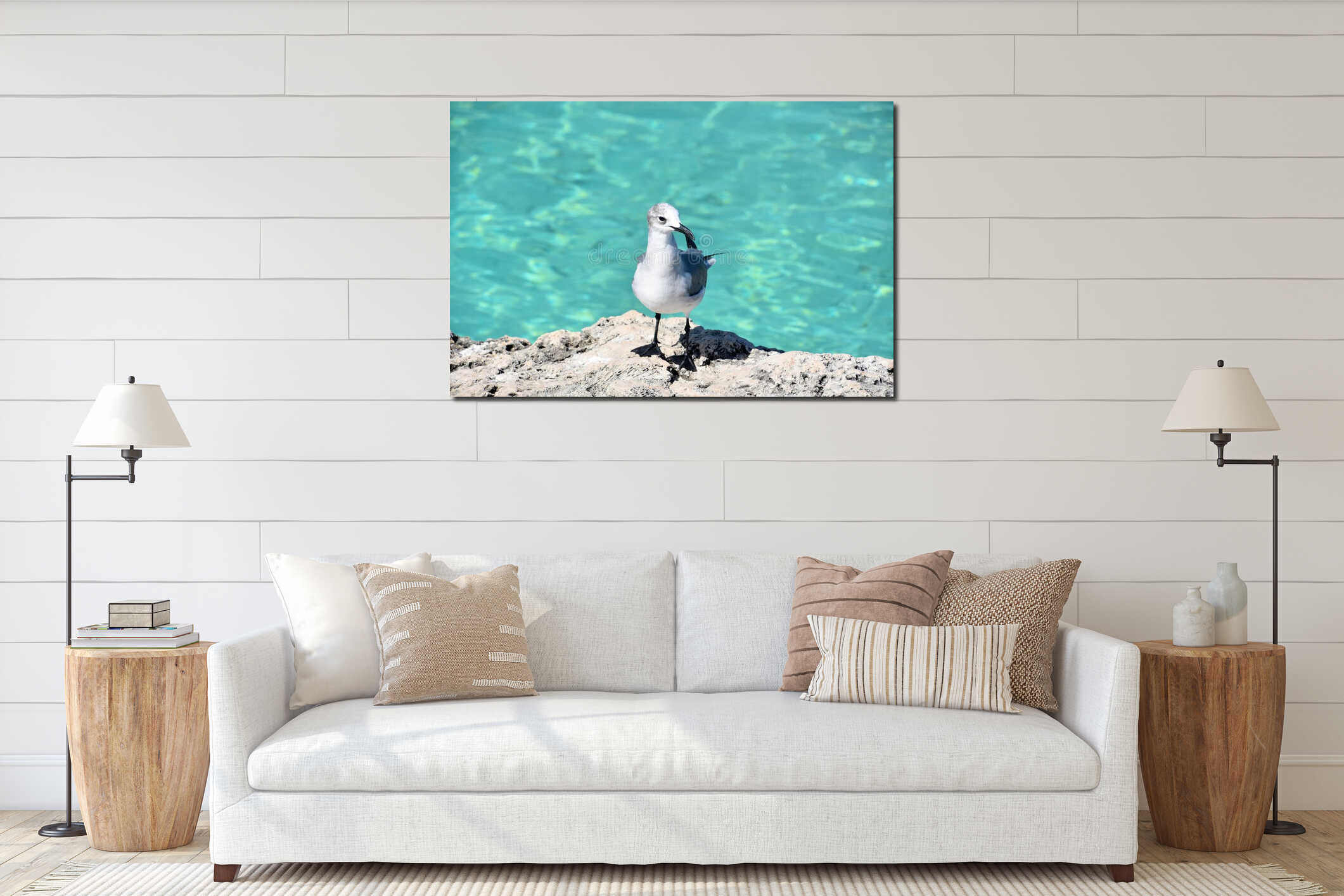 Seagull Standing Along the Tropical Coastal Waters interior mockup