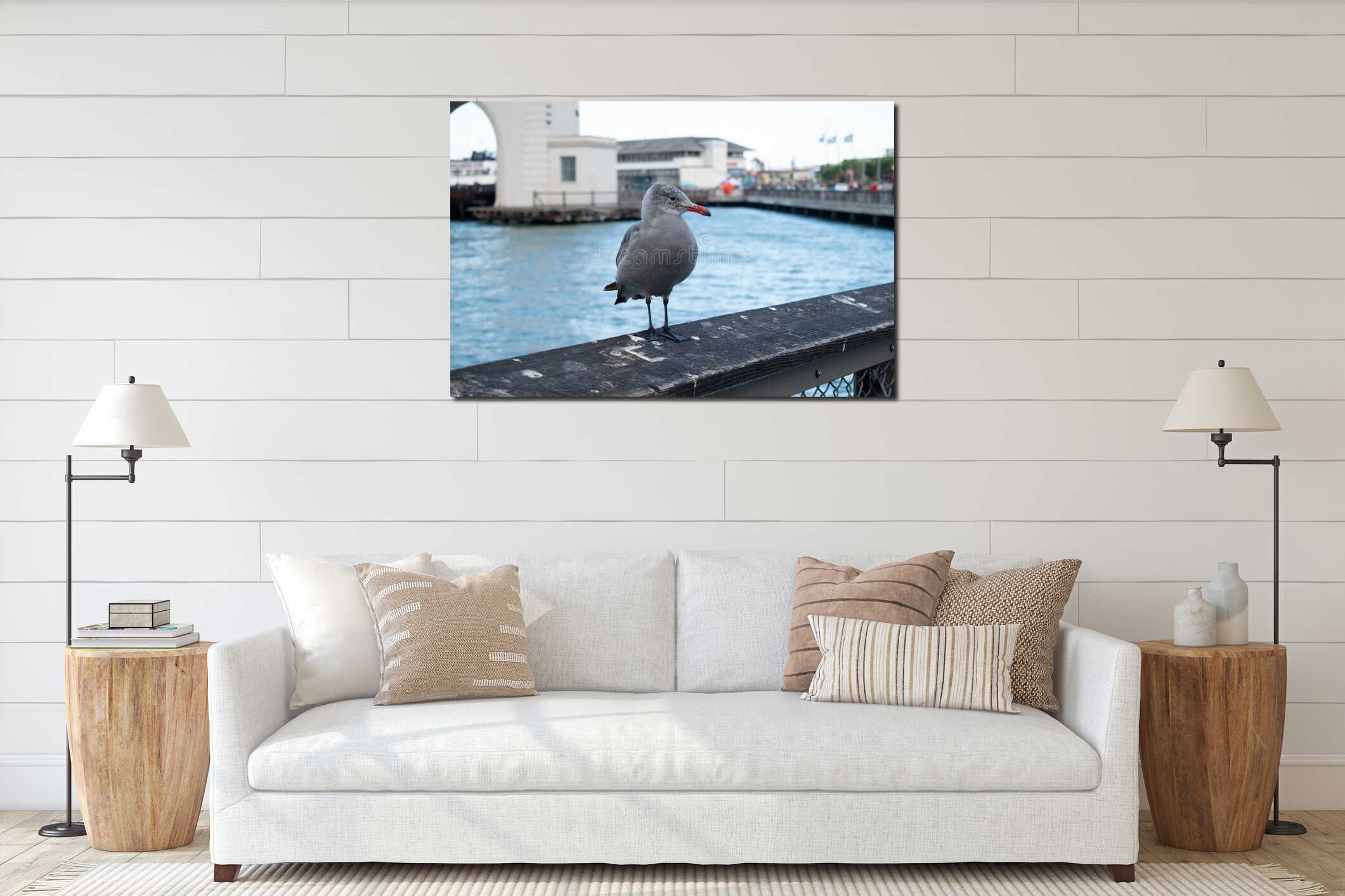 Gray seagull. Pier 39. San Francisco, California, USA interior mockup