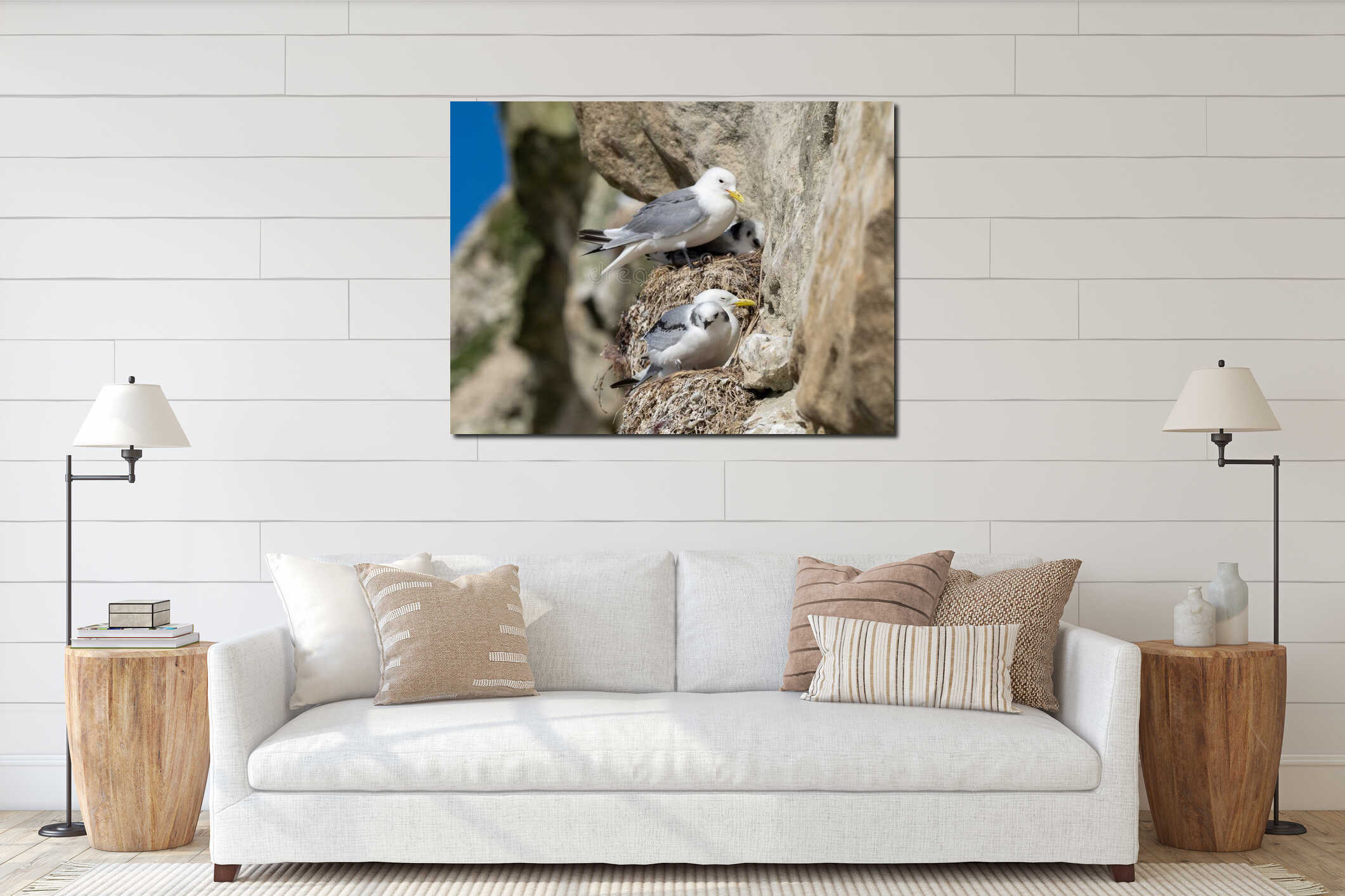 Two adult black-legged kittiwakes with their chicks on a rocky ledge interior mockup